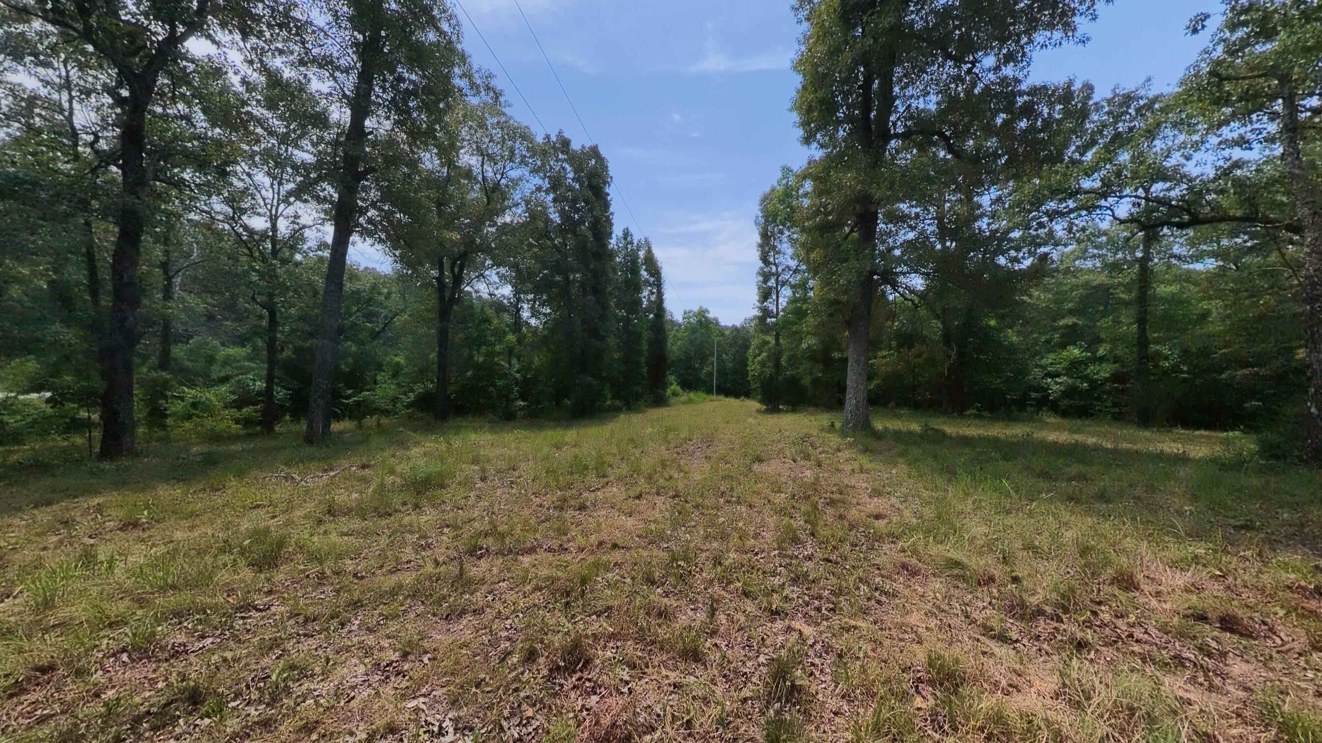 Photo 34 - Land for sale – 32312  U.S. Highway 160   Alton, MO
