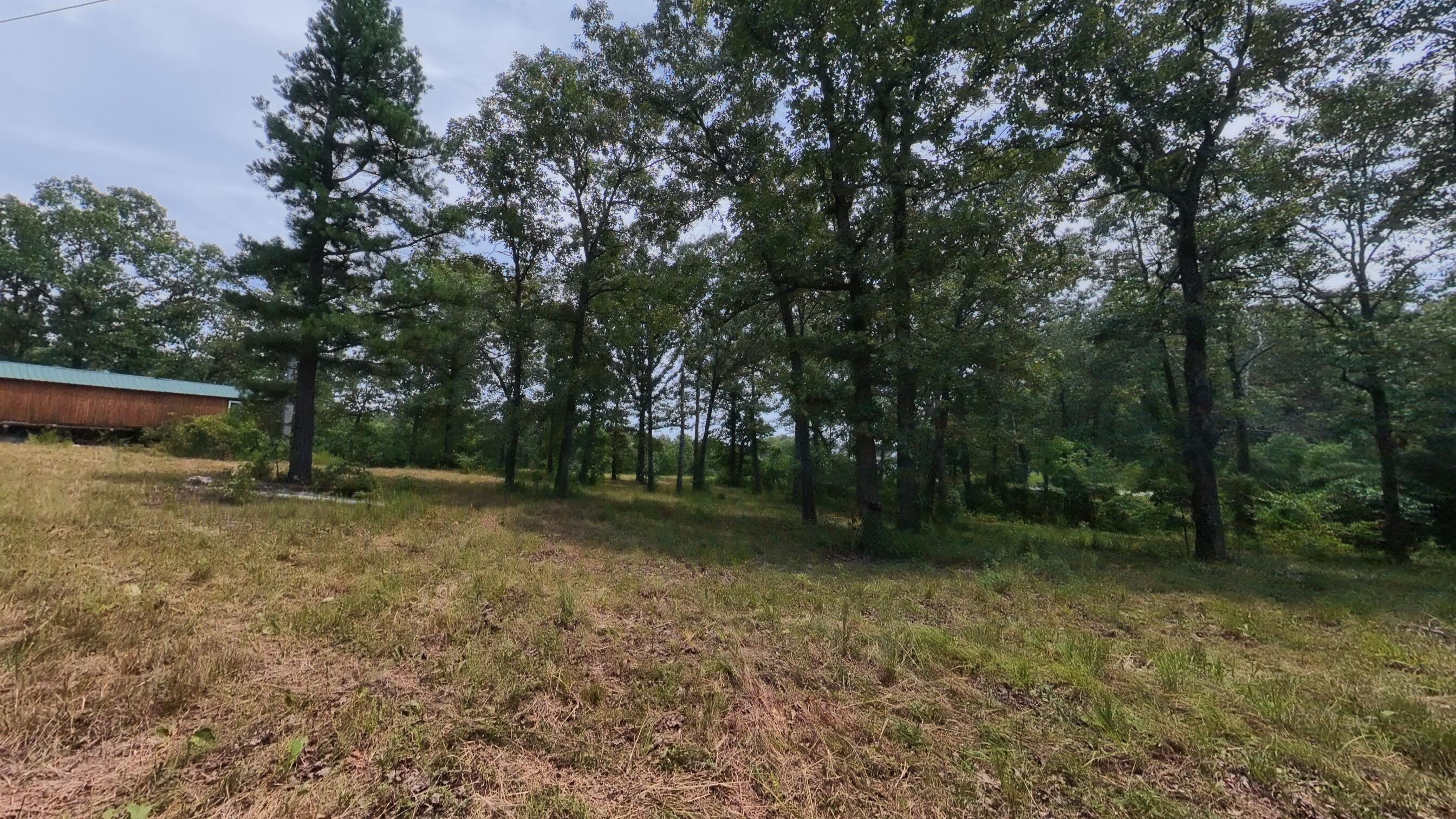 Photo 37 - Land for sale – 32312  U.S. Highway 160   Alton, MO