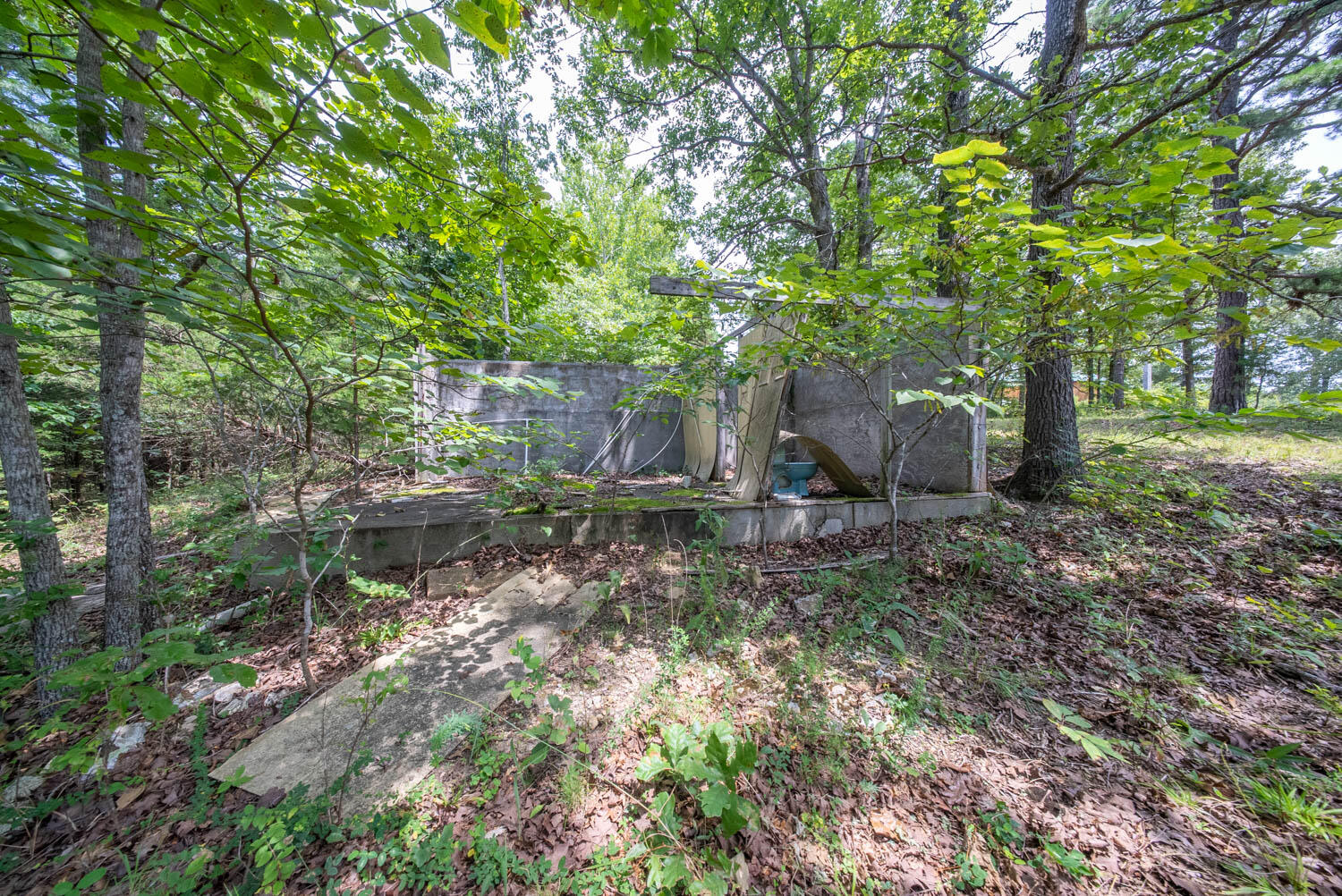 Photo 9 - Land for sale – 32312  U.S. Highway 160   Alton, MO