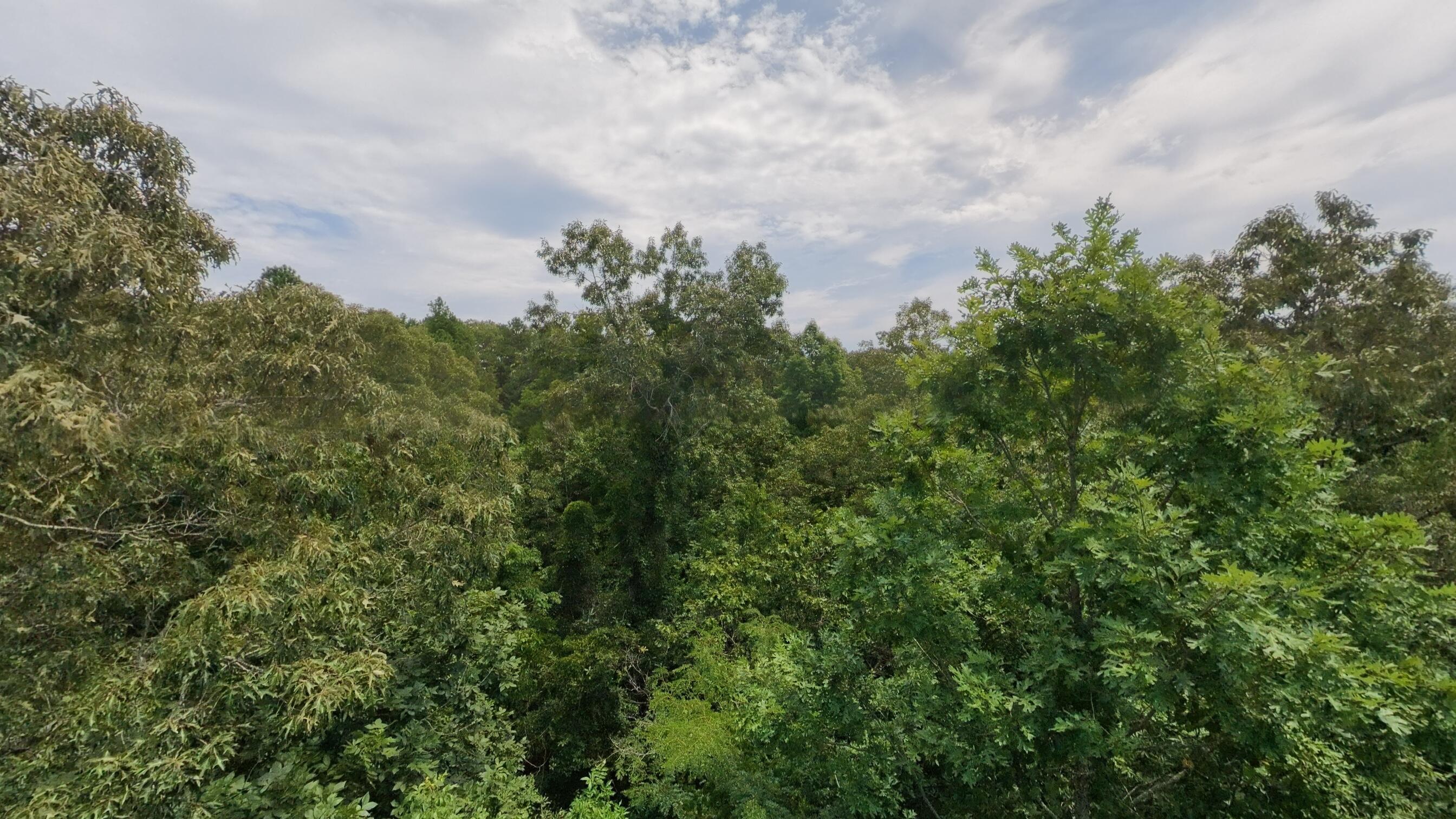 Photo 27 - Land for sale – 32312  U.S. Highway 160   Alton, MO