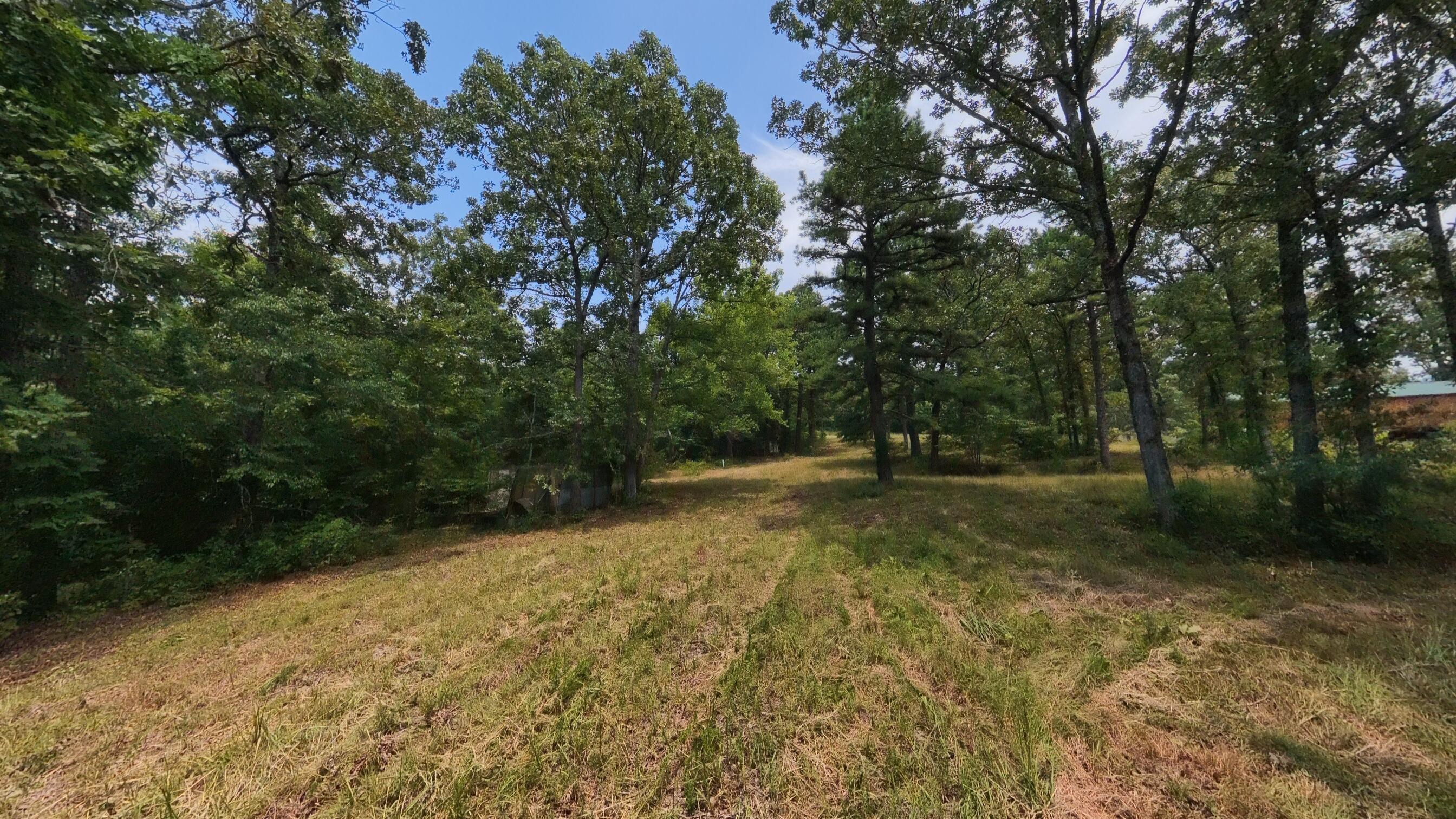 Photo 31 - Land for sale – 32312  U.S. Highway 160   Alton, MO