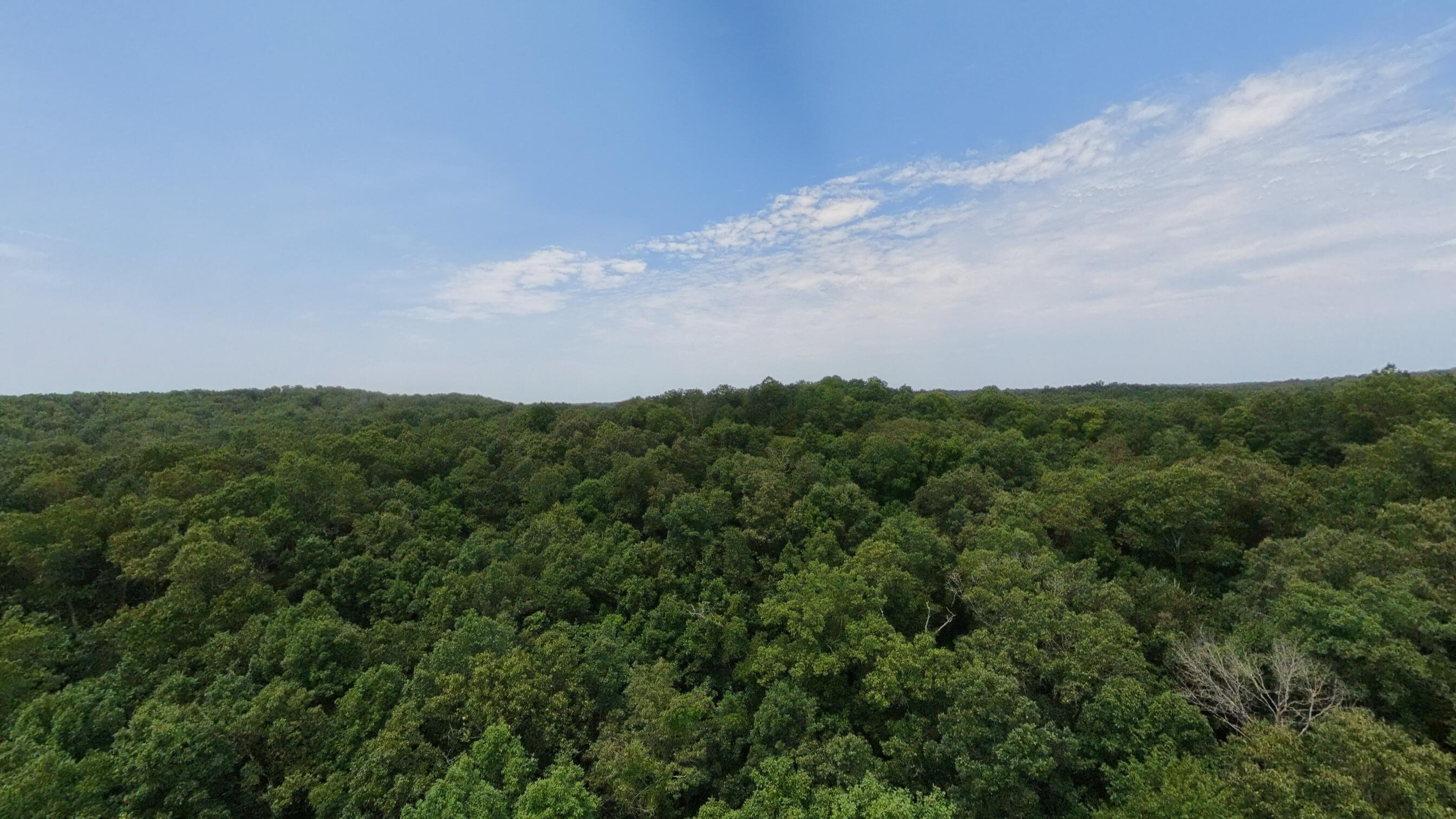 Photo 25 - Land for sale – 32312  U.S. Highway 160   Alton, MO