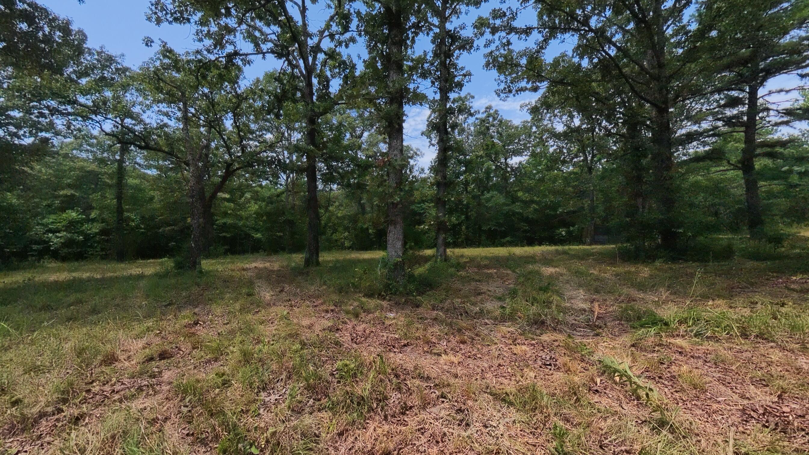 Photo 35 - Land for sale – 32312  U.S. Highway 160   Alton, MO