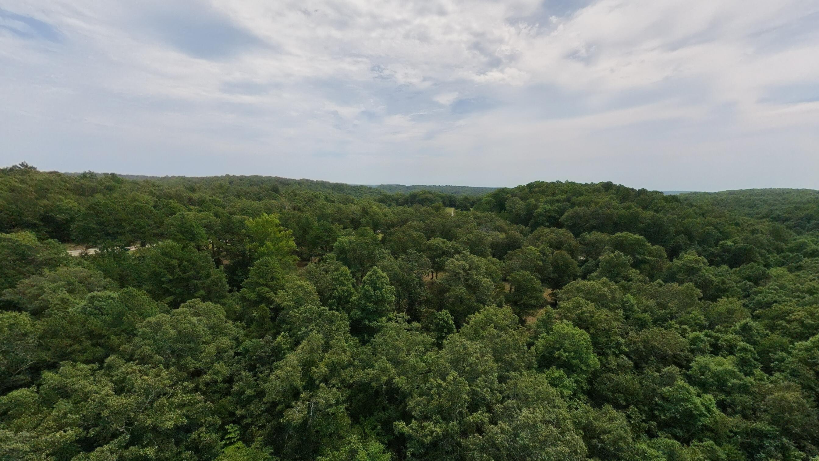 Photo 26 - Land for sale – 32312  U.S. Highway 160   Alton, MO