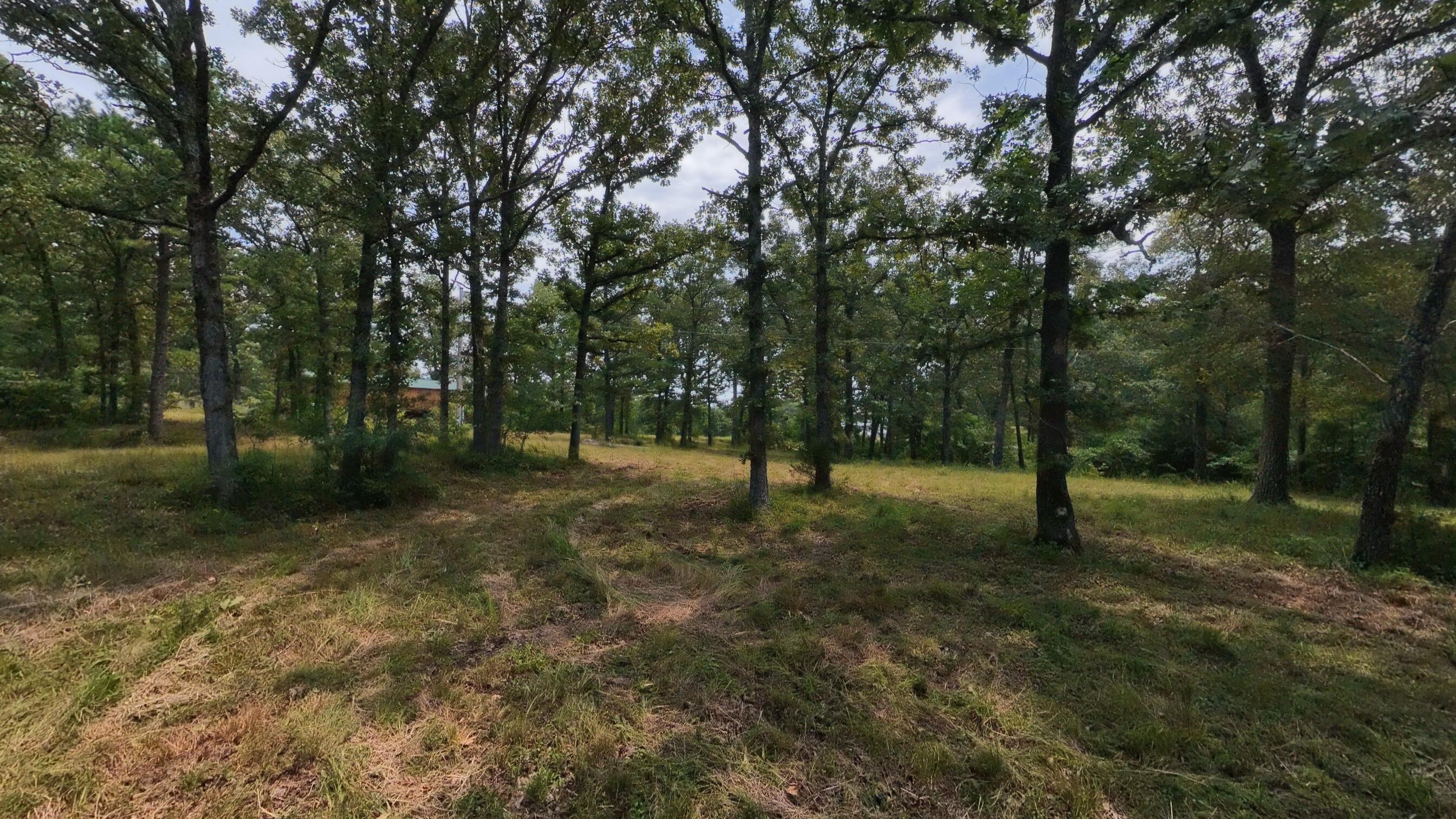 Photo 30 - Land for sale – 32312  U.S. Highway 160   Alton, MO