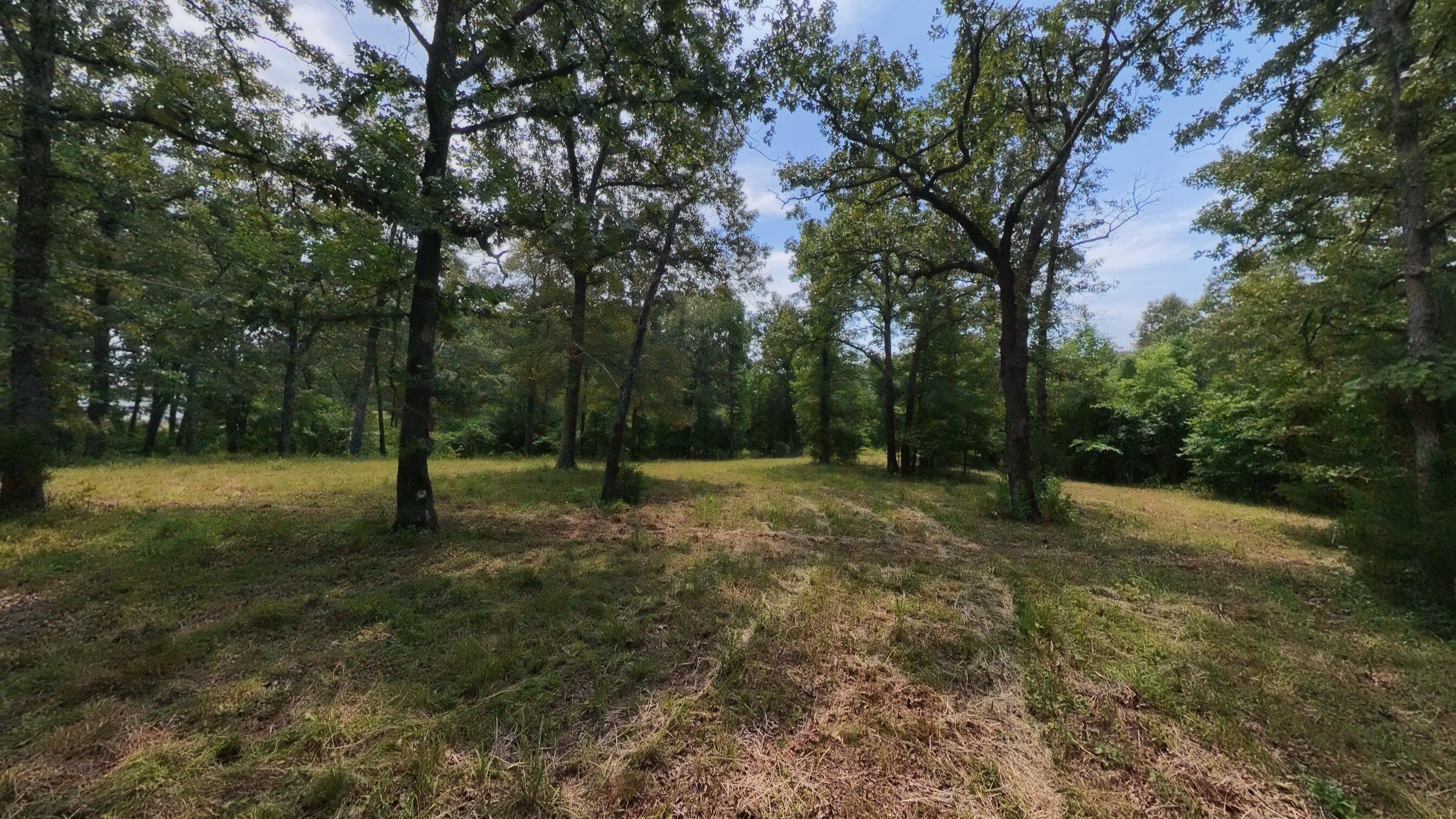 Photo 32 - Land for sale – 32312  U.S. Highway 160   Alton, MO