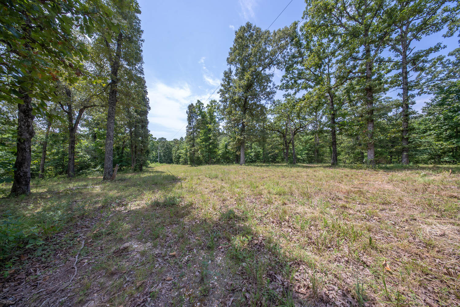 Photo 4 - Land for sale – 32312  U.S. Highway 160   Alton, MO