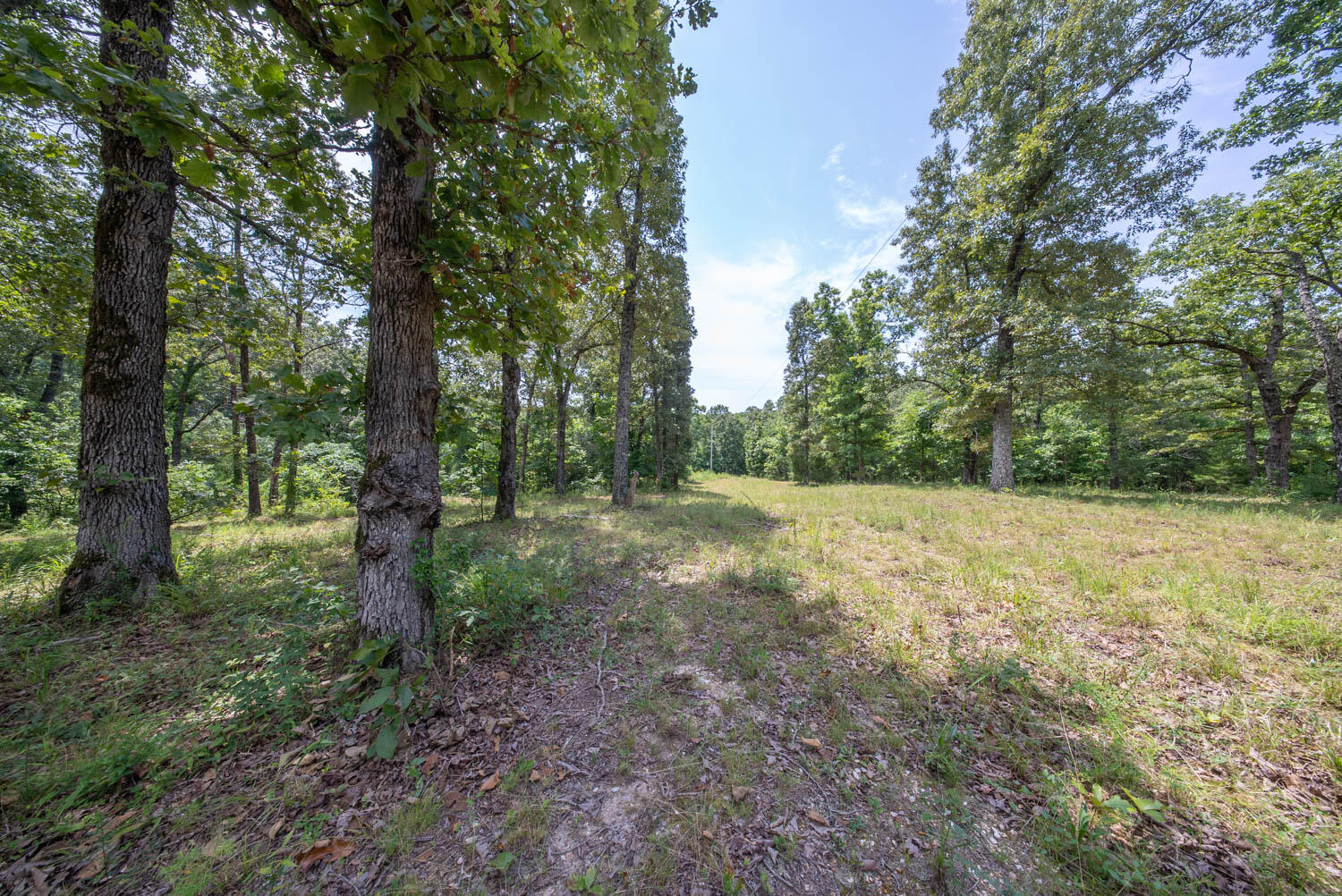 Photo 3 - Land for sale – 32312  U.S. Highway 160   Alton, MO