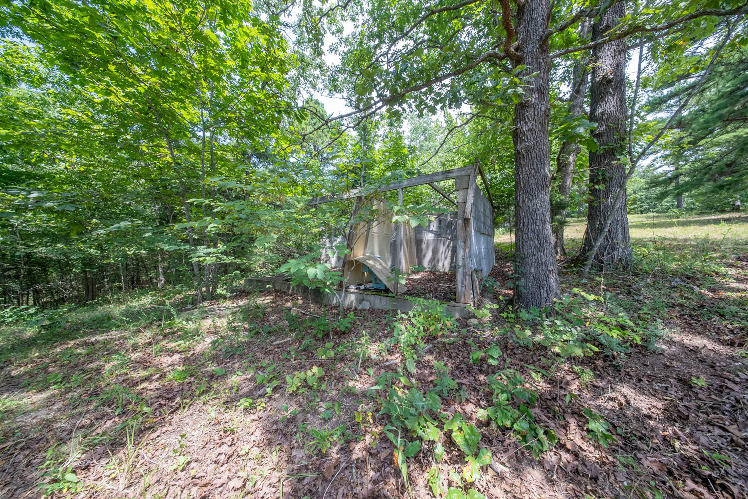 Photo 8 - Land for sale – 32312  U.S. Highway 160   Alton, MO
