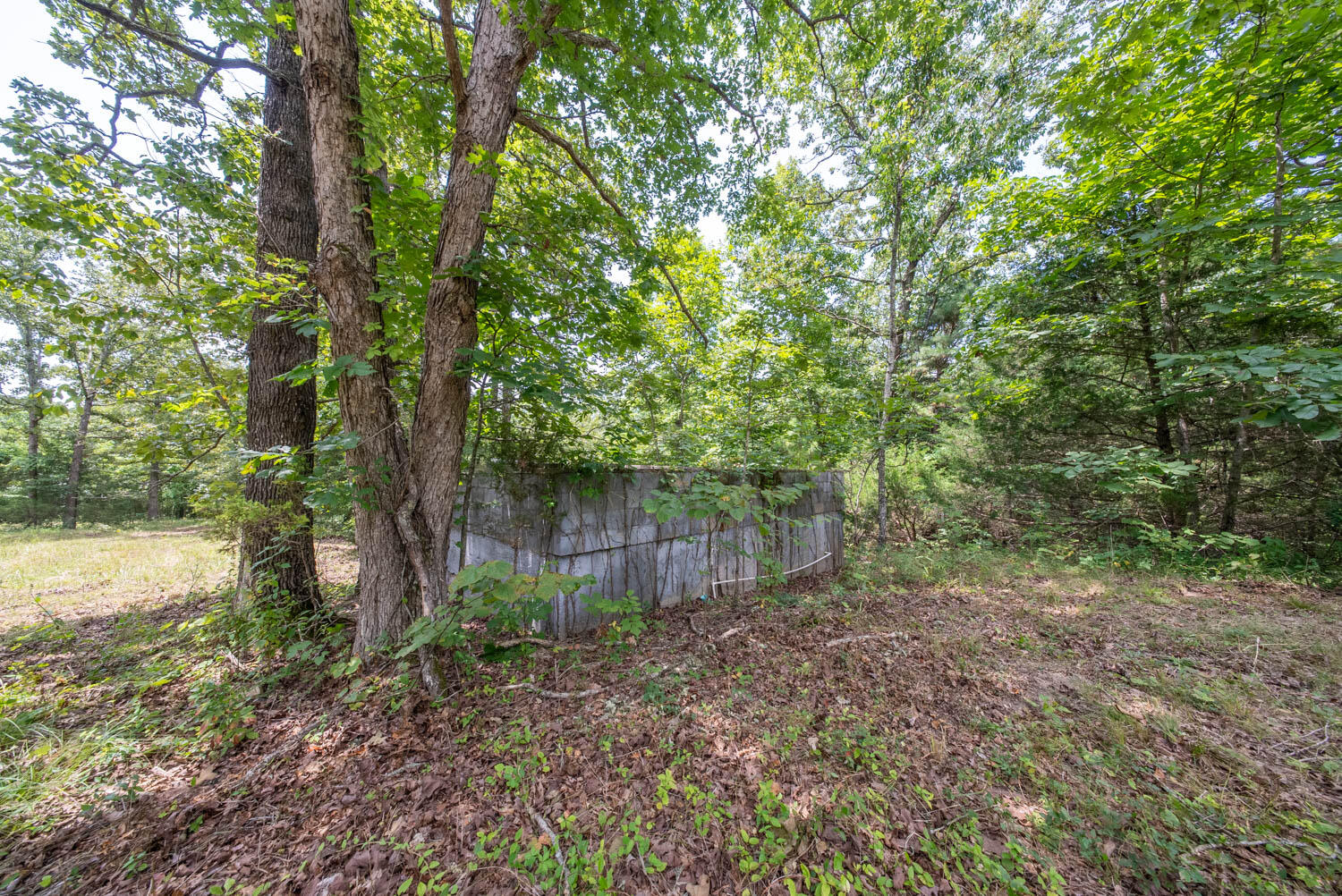Photo 11 - Land for sale – 32312  U.S. Highway 160   Alton, MO
