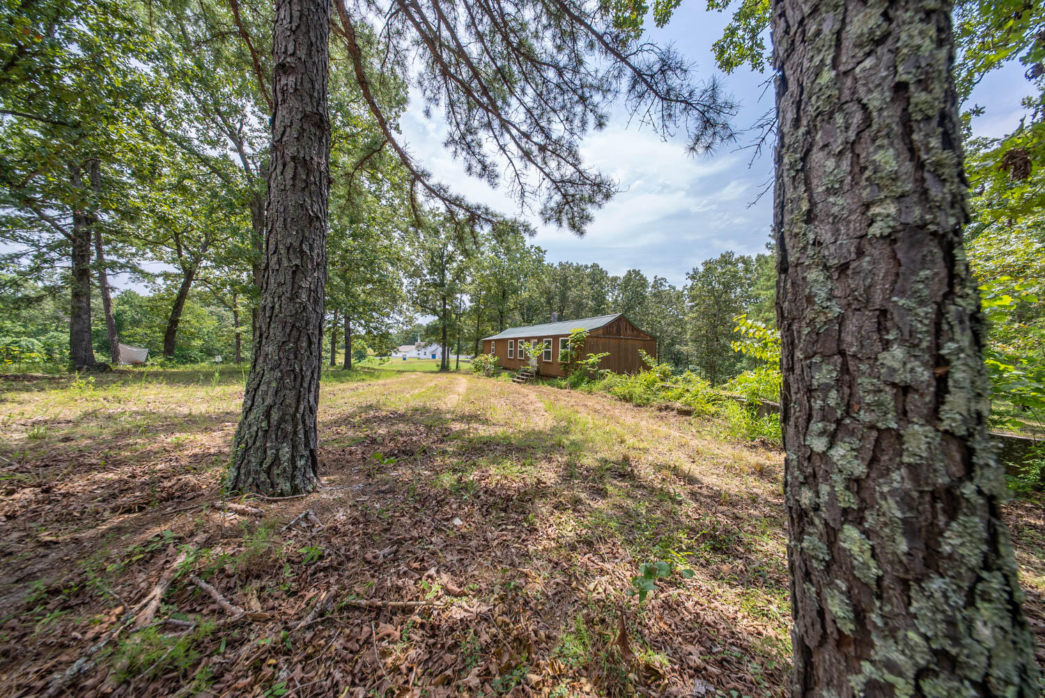 Photo 14 - Land for sale – 32312  U.S. Highway 160   Alton, MO