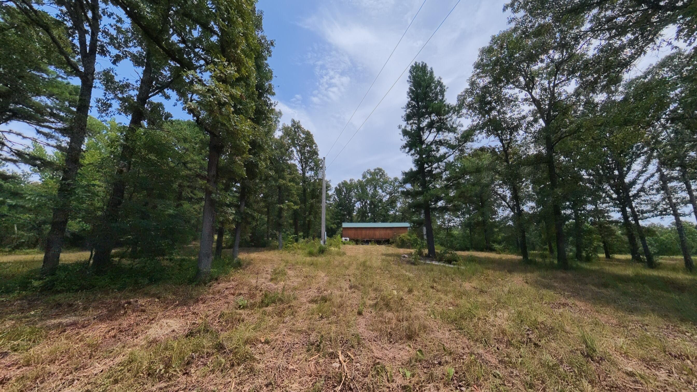 Photo 36 - Land for sale – 32312  U.S. Highway 160   Alton, MO