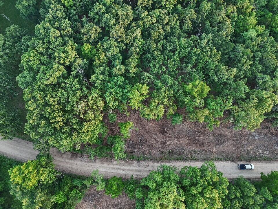 Photo 6 - Land for sale – Tbd  006 Cantrell Road  Mansfield, MO