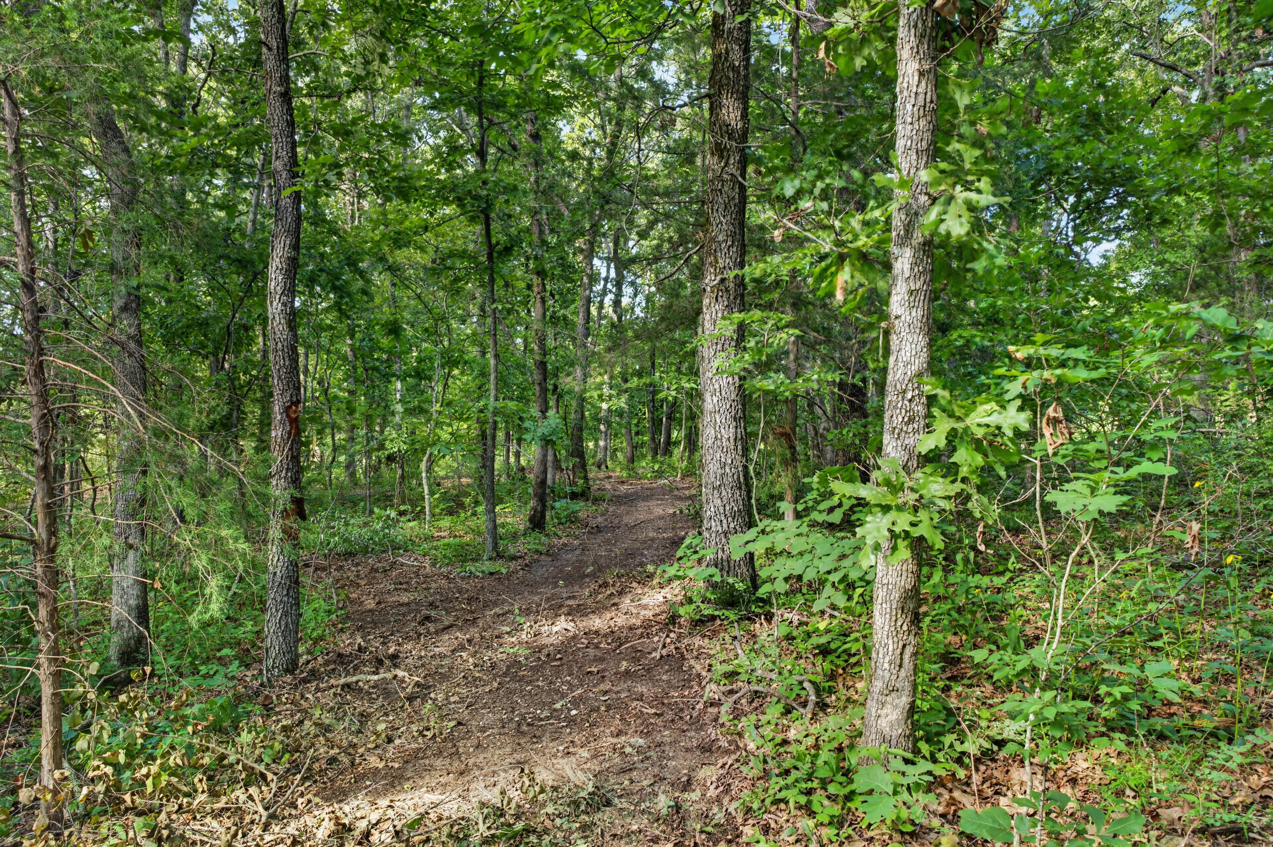 Photo 14 - Land for sale – Tbd  006 Cantrell Road  Mansfield, MO