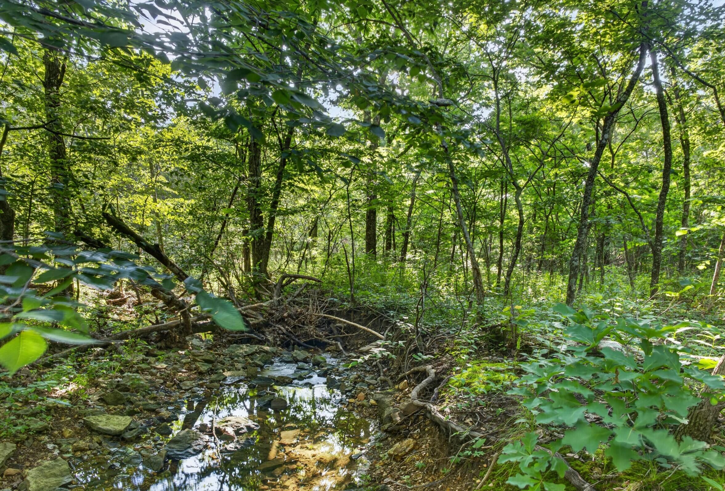 Photo 29 - Land for sale – Tbd  006 Cantrell Road  Mansfield, MO