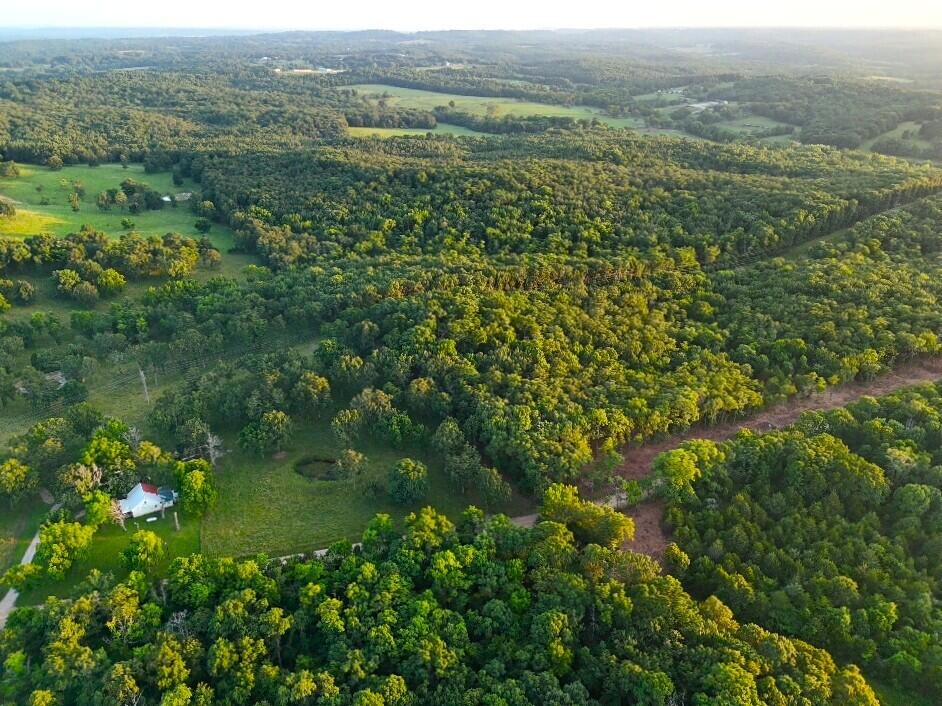 Photo 3 - Land for sale – Tbd  006 Cantrell Road  Mansfield, MO