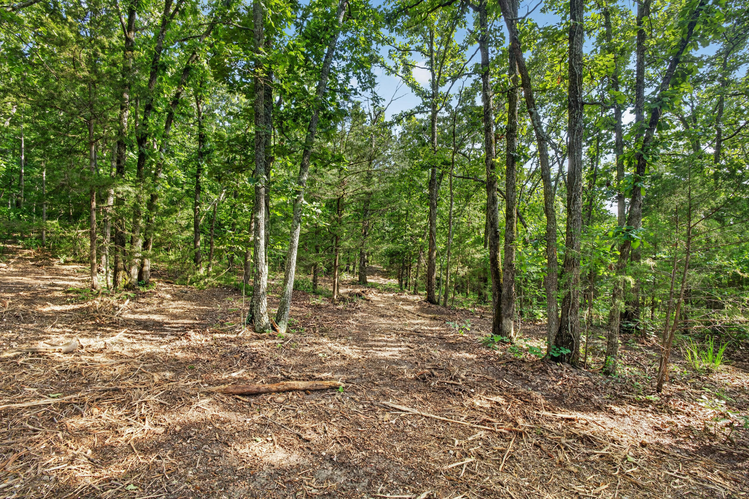 Photo 13 - Land for sale – Tbd  006 Cantrell Road  Mansfield, MO