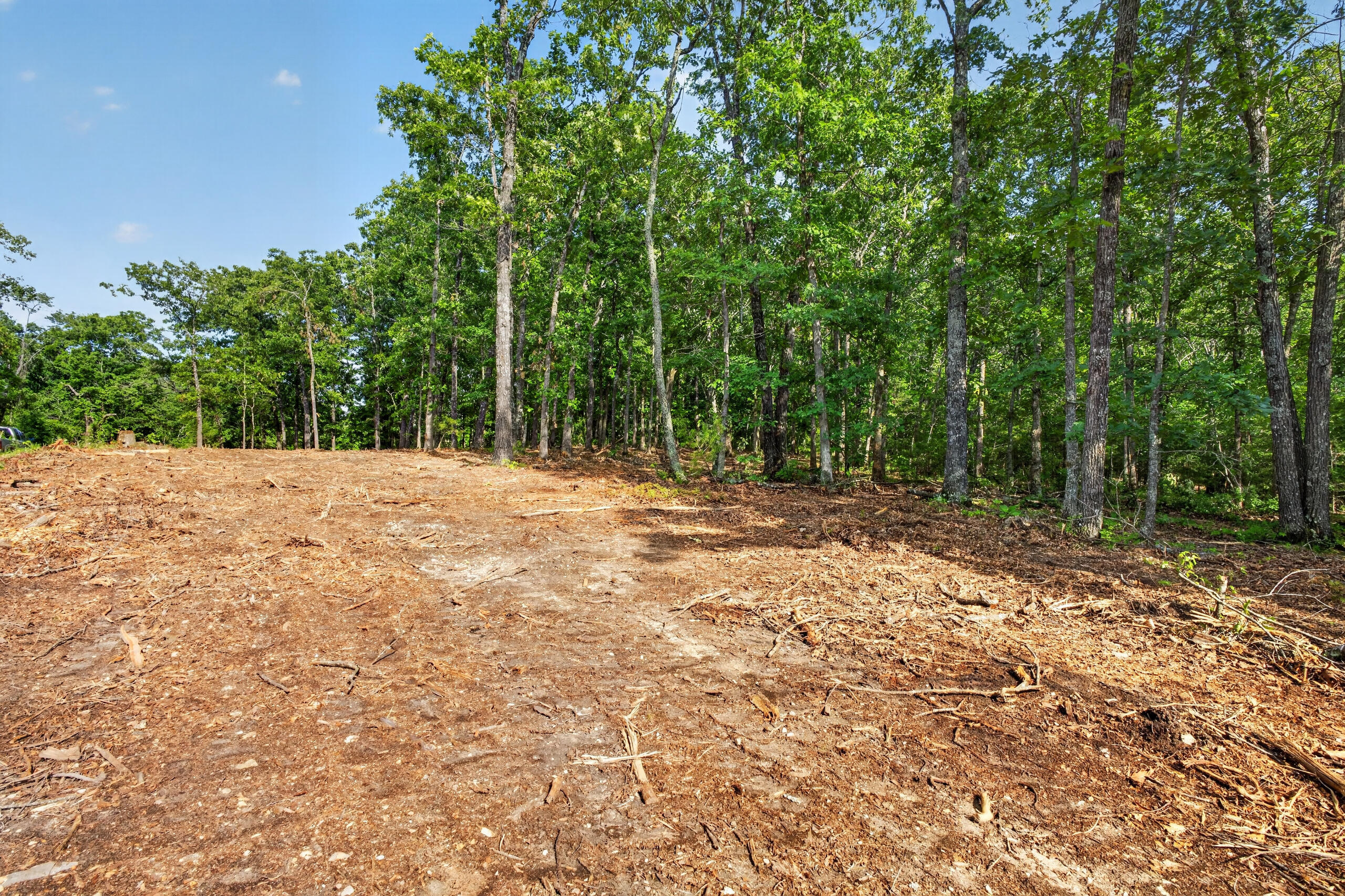 Photo 8 - Land for sale – Tbd  006 Cantrell Road  Mansfield, MO
