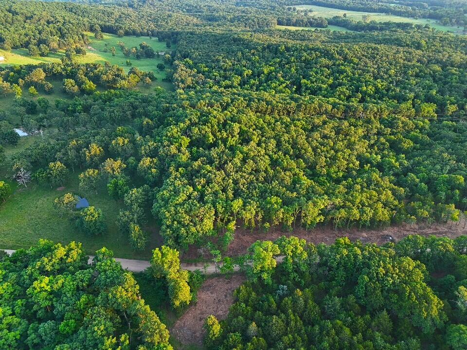 Photo 4 - Land for sale – Tbd  006 Cantrell Road  Mansfield, MO