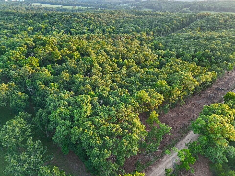 Photo 5 - Land for sale – Tbd  006 Cantrell Road  Mansfield, MO