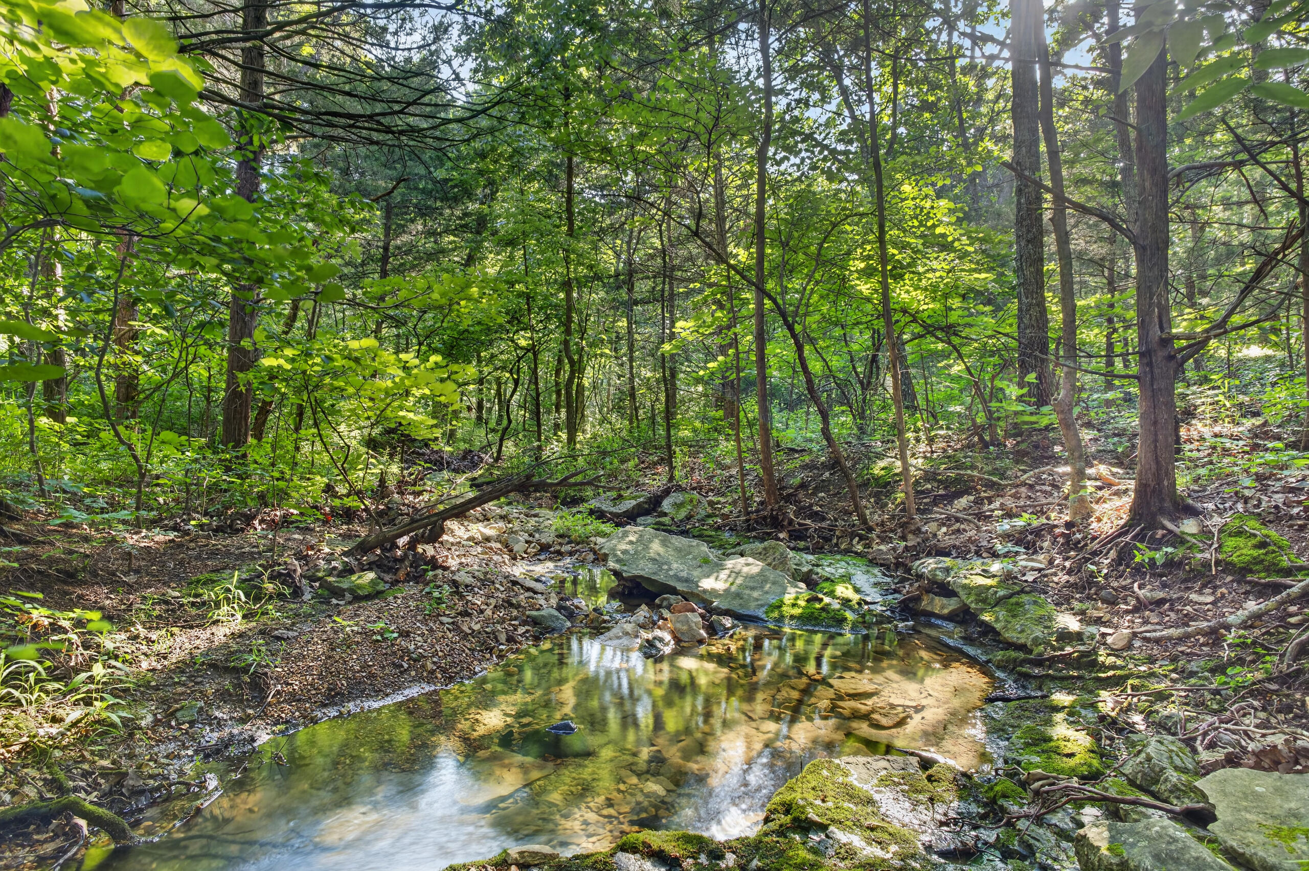 Photo 27 - Land for sale – Tbd  006 Cantrell Road  Mansfield, MO