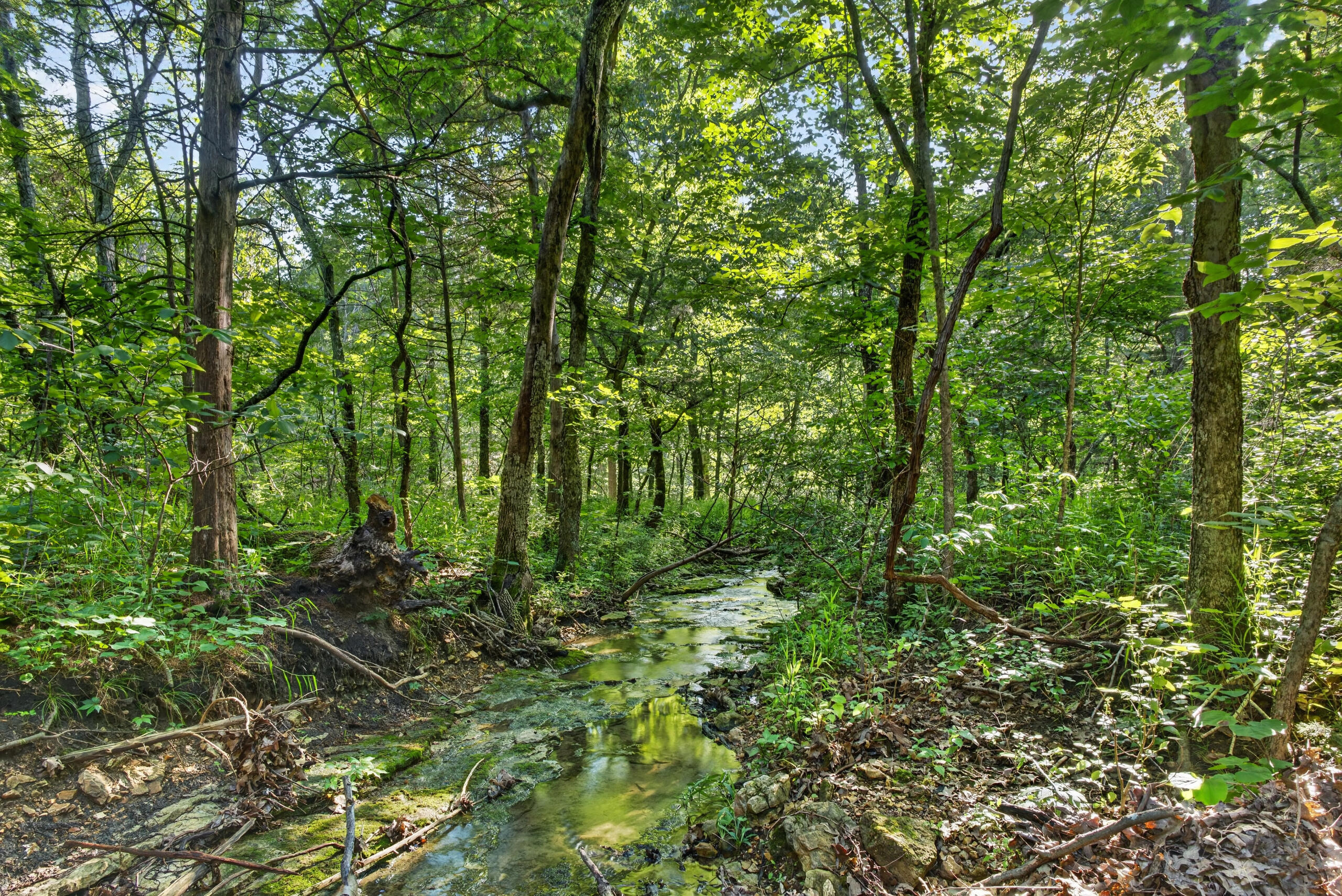 Photo 28 - Land for sale – Tbd  006 Cantrell Road  Mansfield, MO