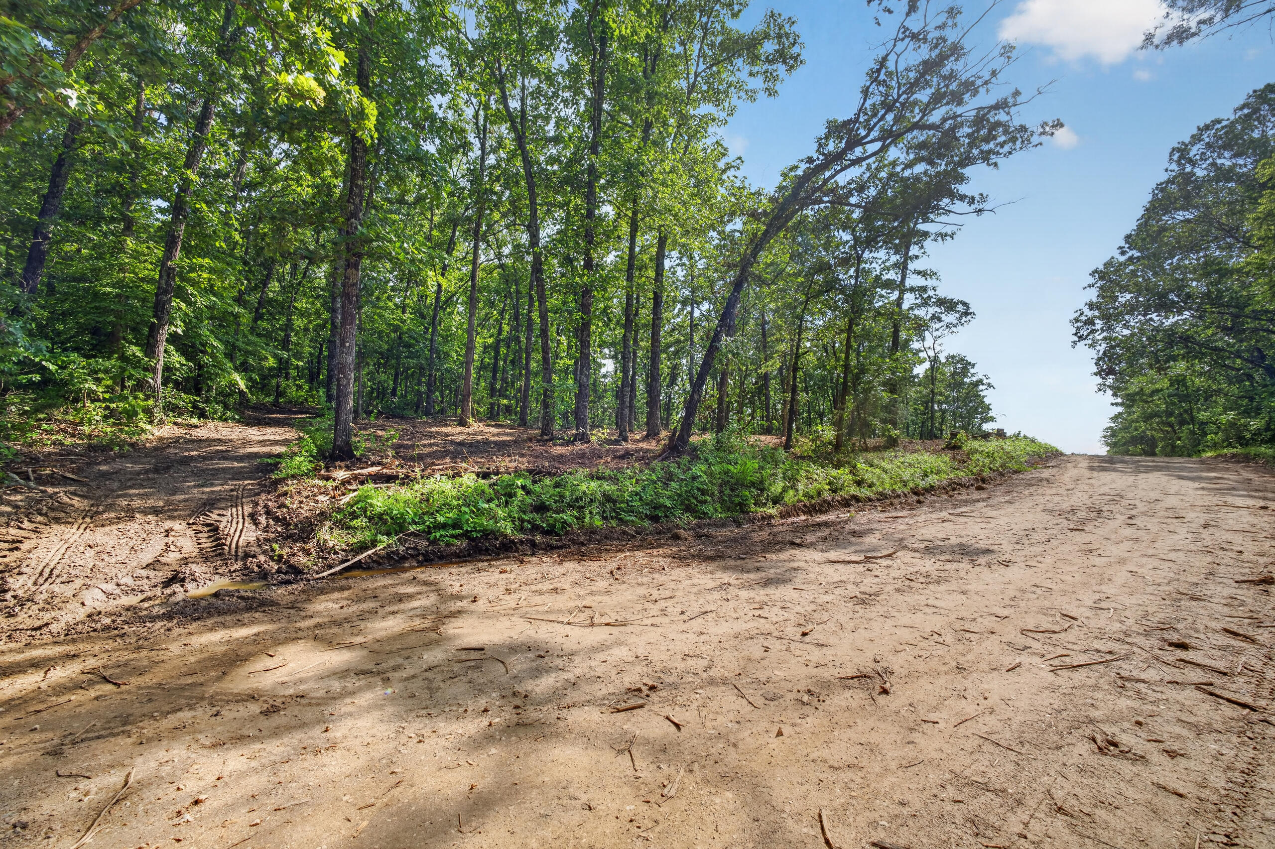 Photo 7 - Land for sale – Tbd  006 Cantrell Road  Mansfield, MO