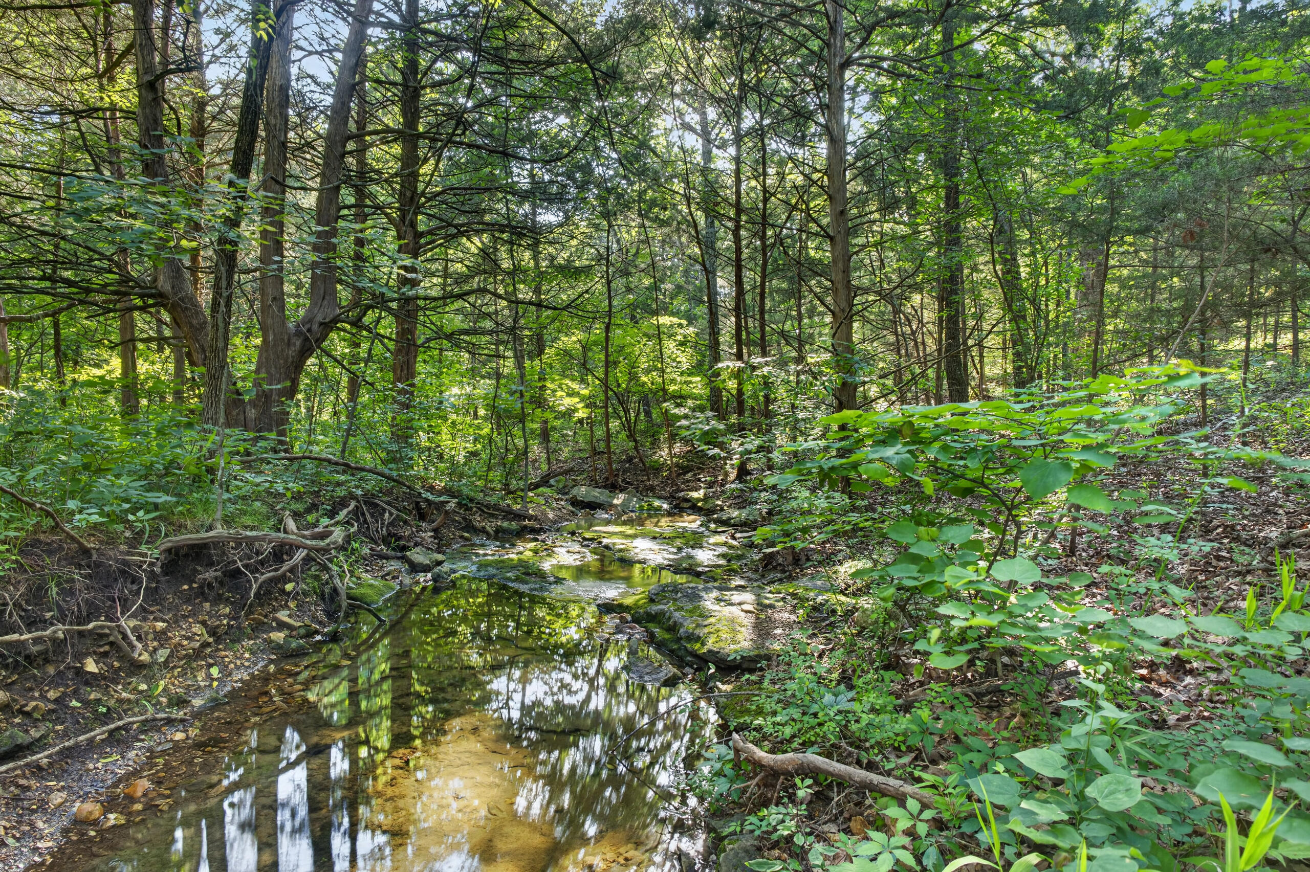 Photo 26 - Land for sale – Tbd  006 Cantrell Road  Mansfield, MO
