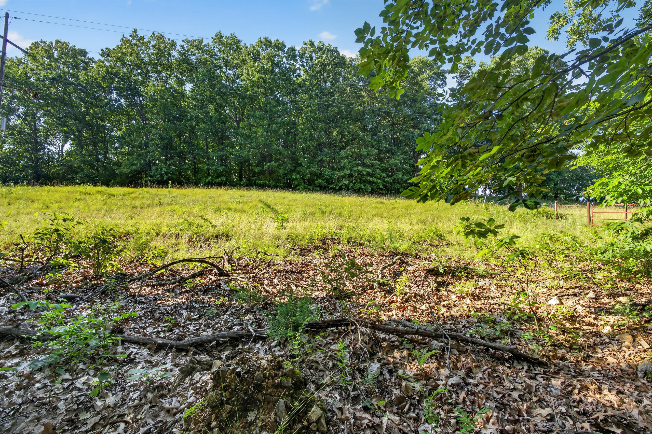 Photo 20 - Land for sale – Tbd  006 Cantrell Road  Mansfield, MO