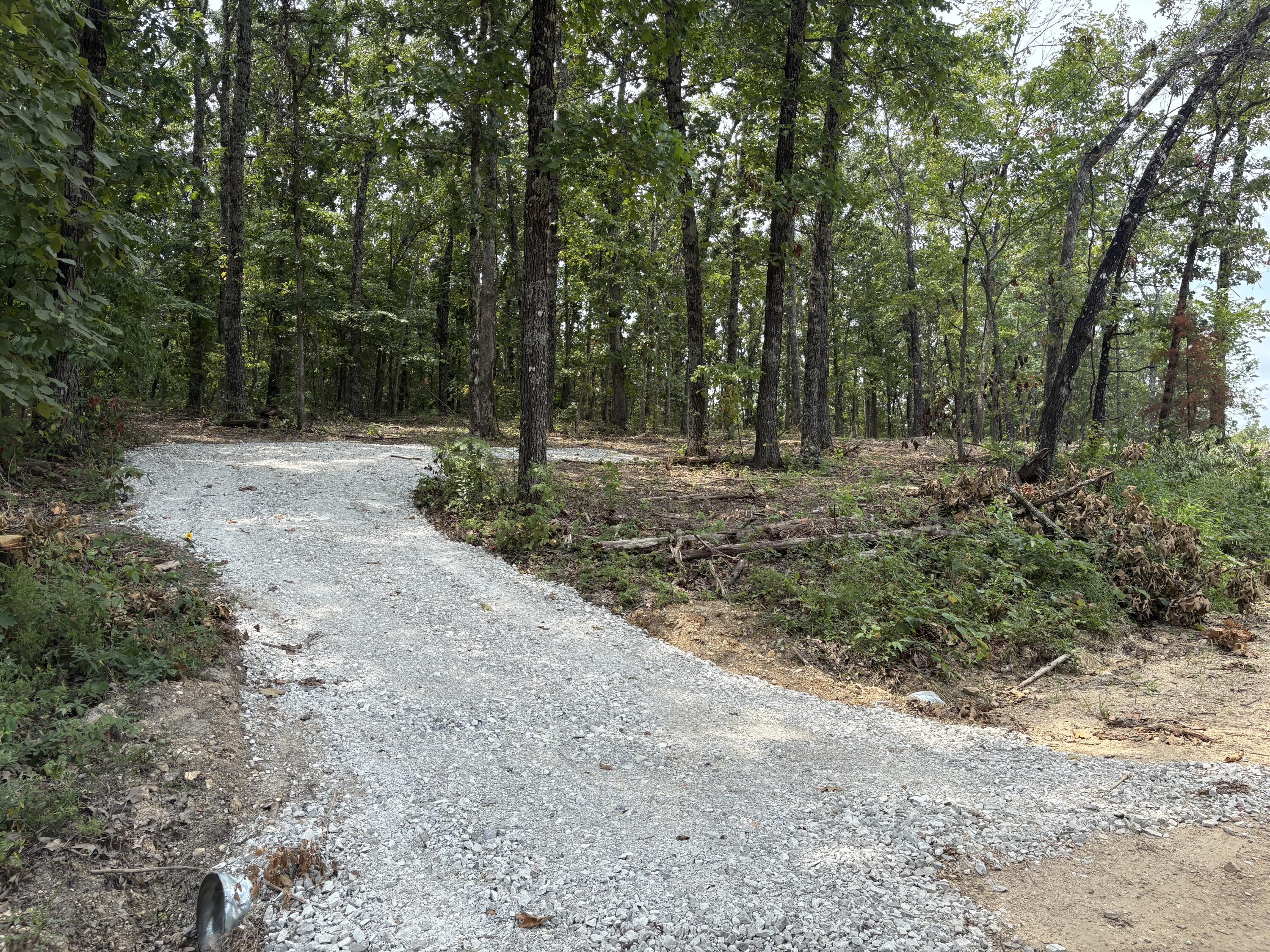 Photo 2 - Land for sale – Tbd  006 Cantrell Road  Mansfield, MO