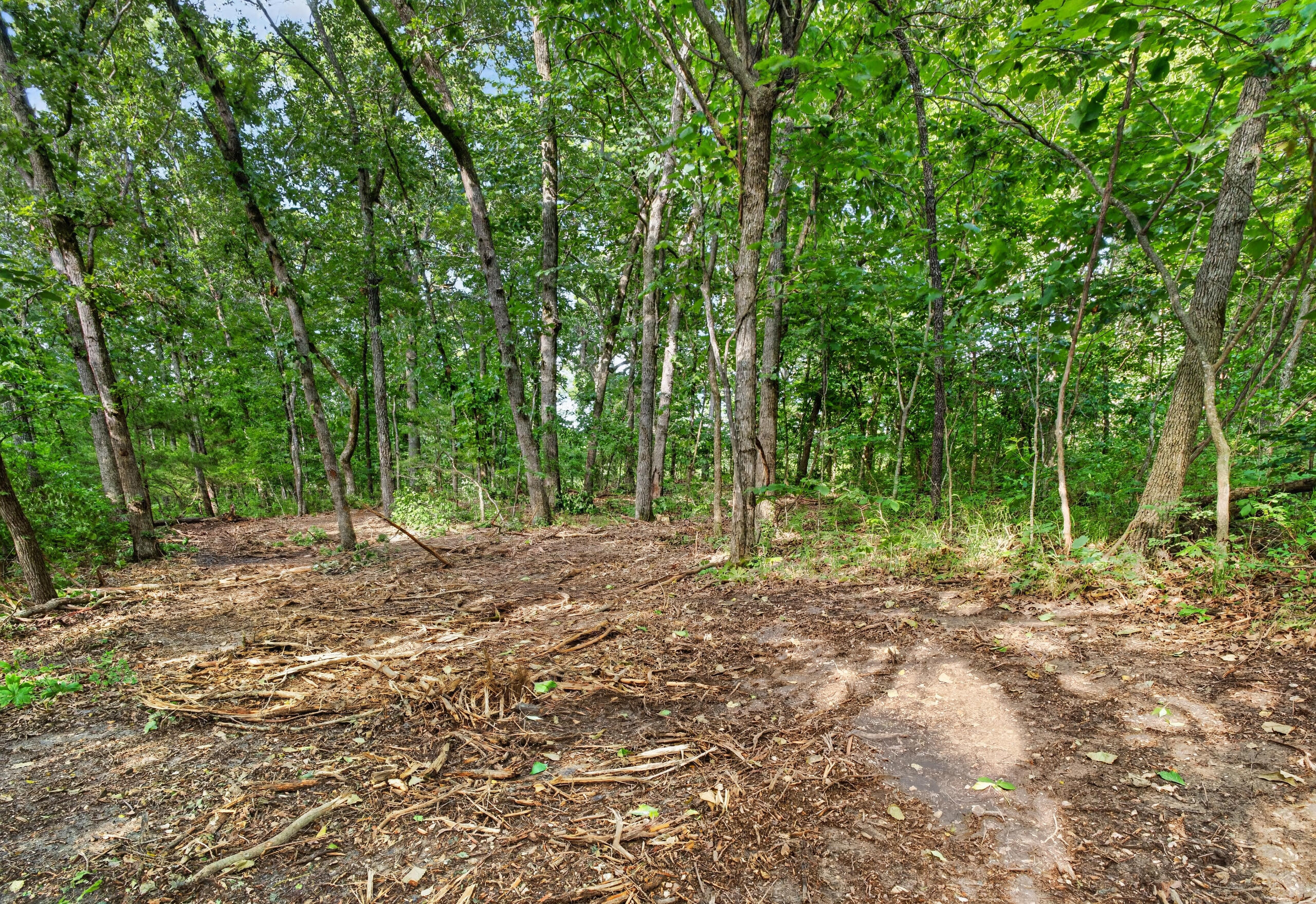 Photo 16 - Land for sale – Tbd  006 Cantrell Road  Mansfield, MO
