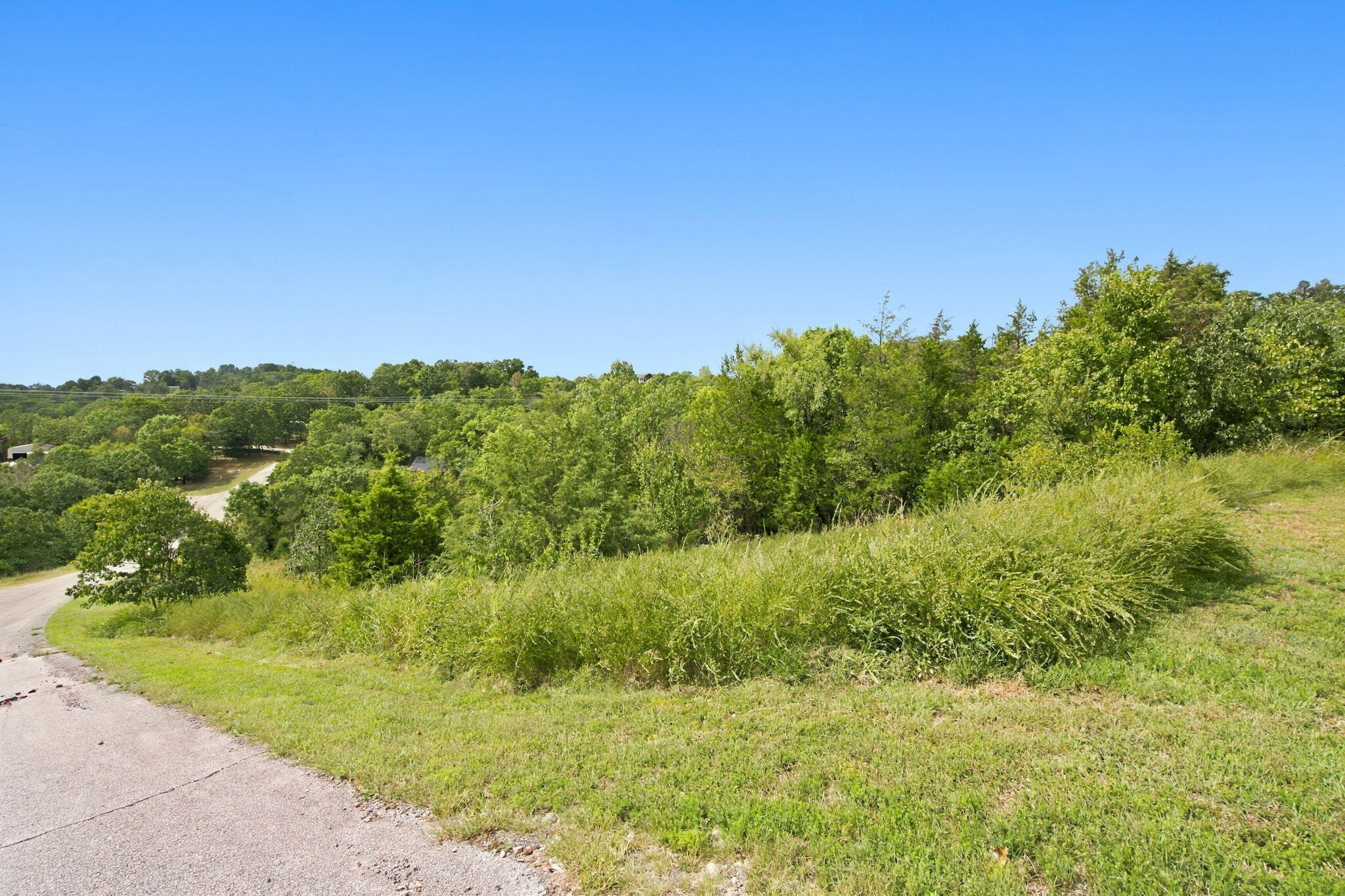 Photo 2 - Land for sale – 000  Hummingbird Hills Lane  Branson, MO