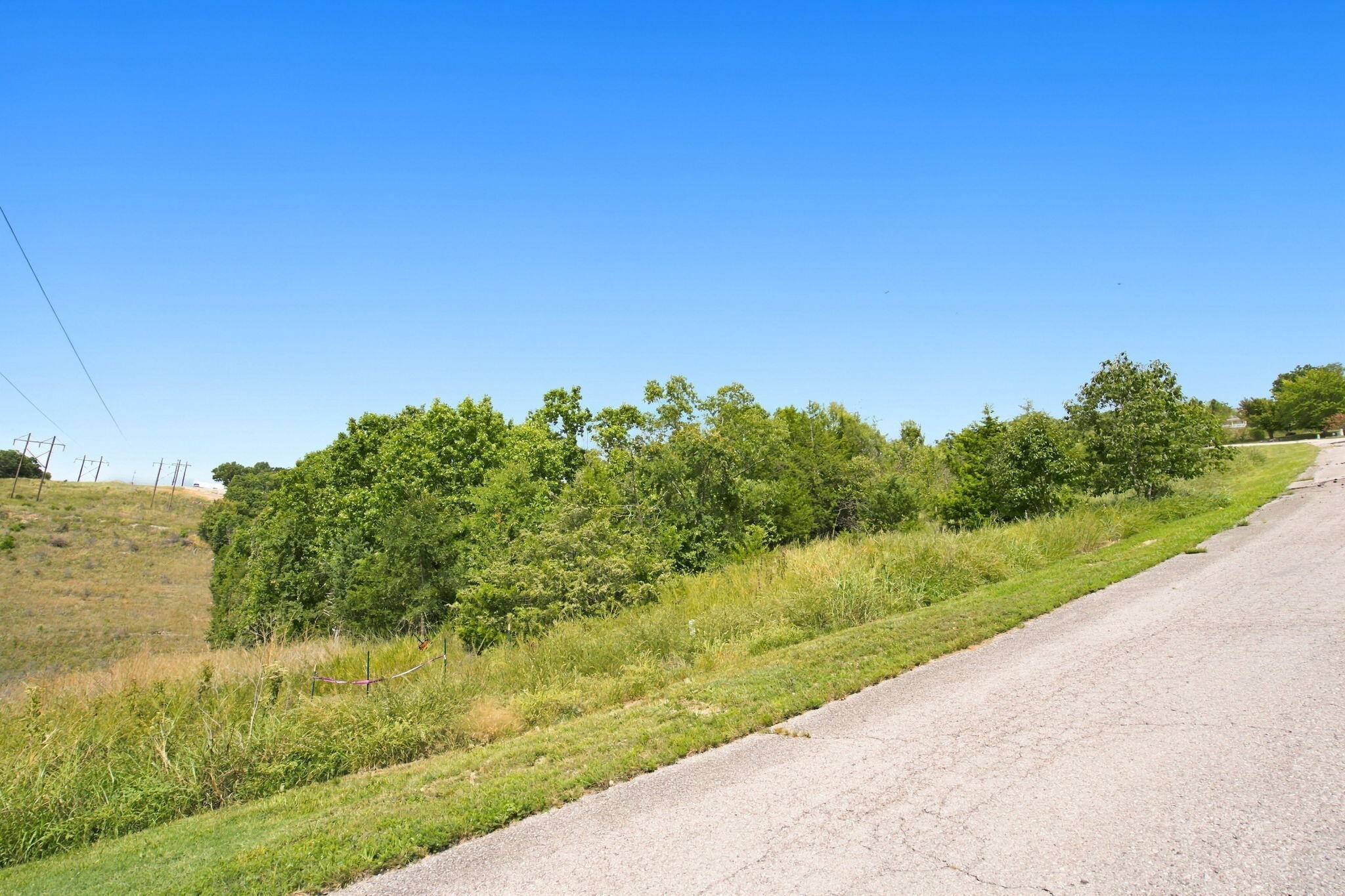 Photo 3 - Land for sale – 000  Hummingbird Hills Lane  Branson, MO