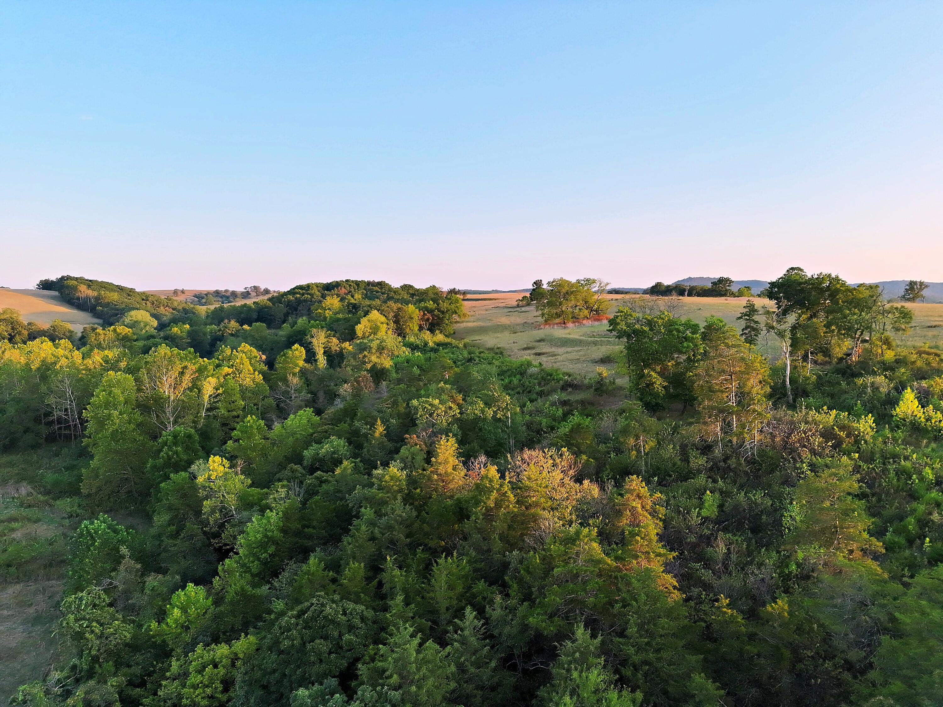 Photo 24 - Land for sale – 000  State Highway 86   Golden, MO
