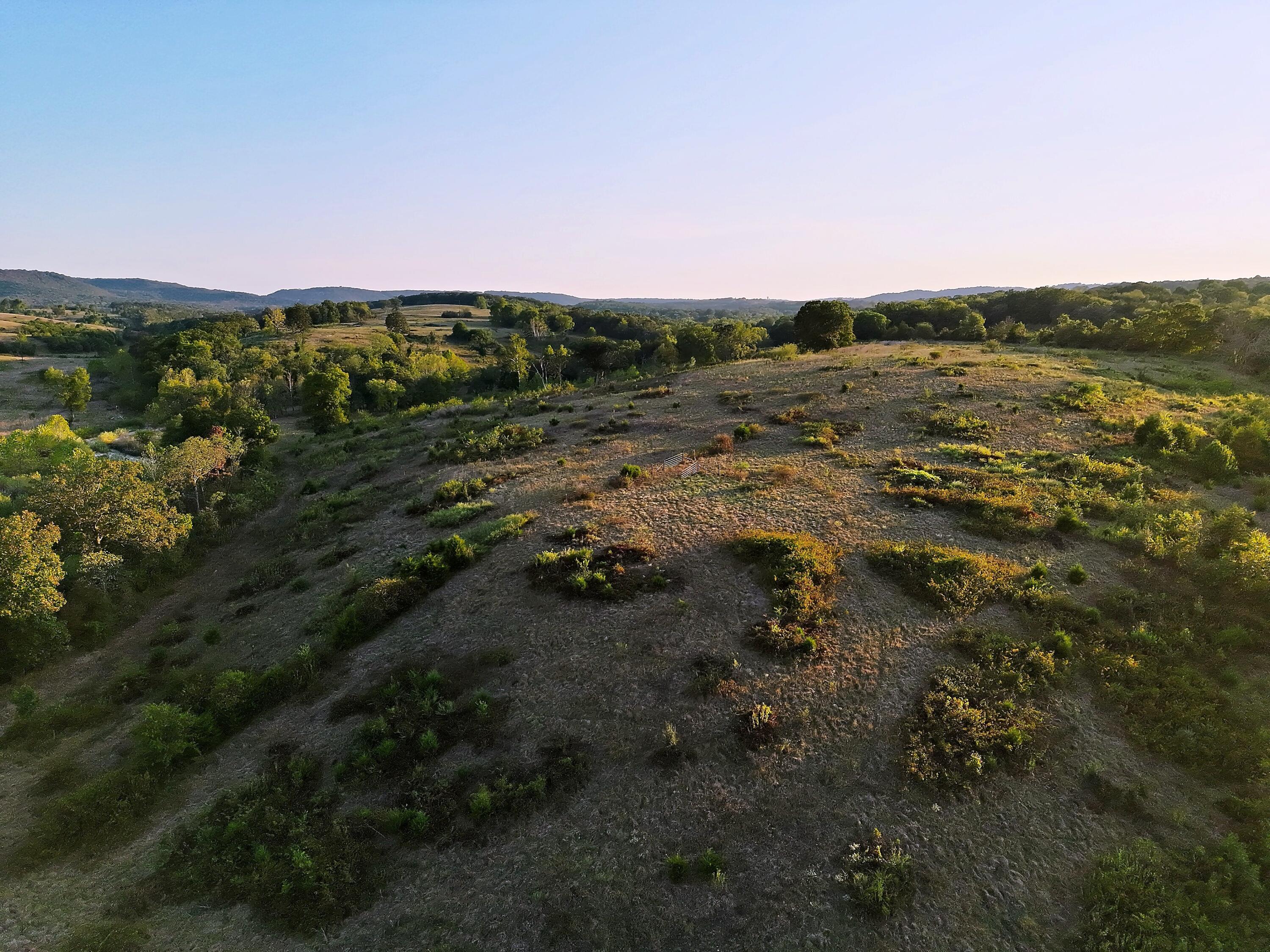 Photo 20 - Land for sale – 000  State Highway 86   Golden, MO