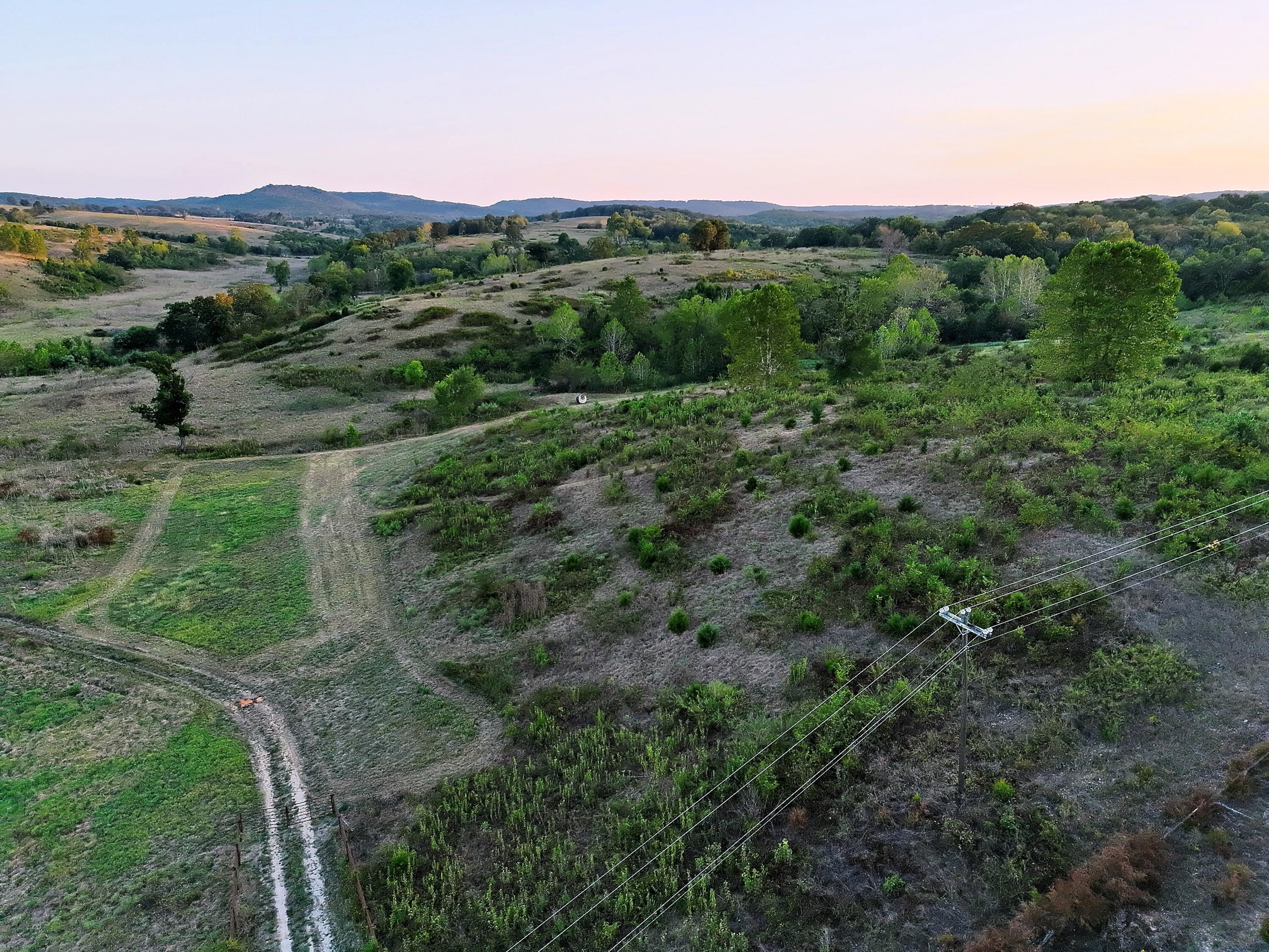 Photo 8 - Land for sale – 000  State Highway 86   Golden, MO
