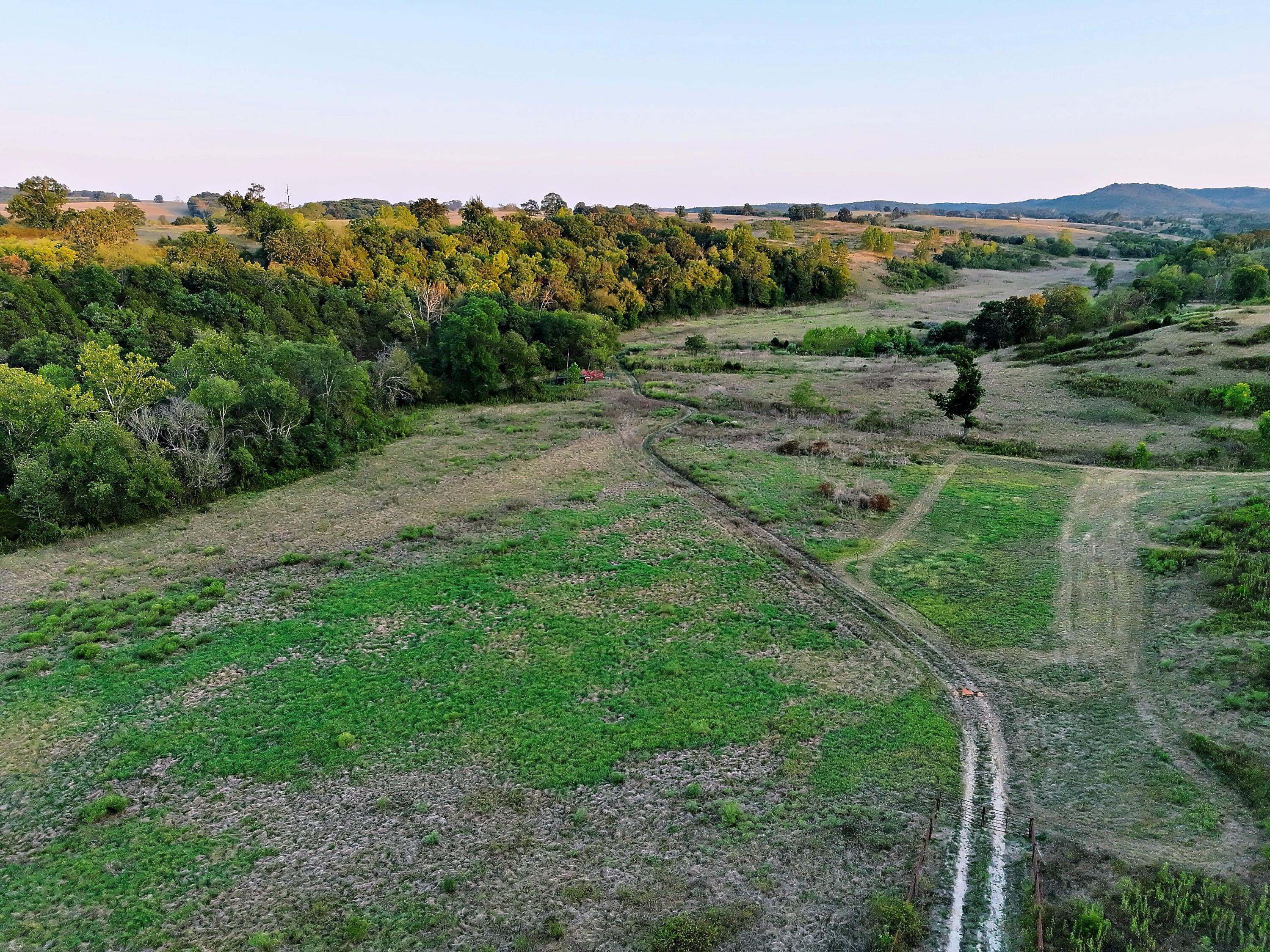 Photo 7 - Land for sale – 000  State Highway 86   Golden, MO