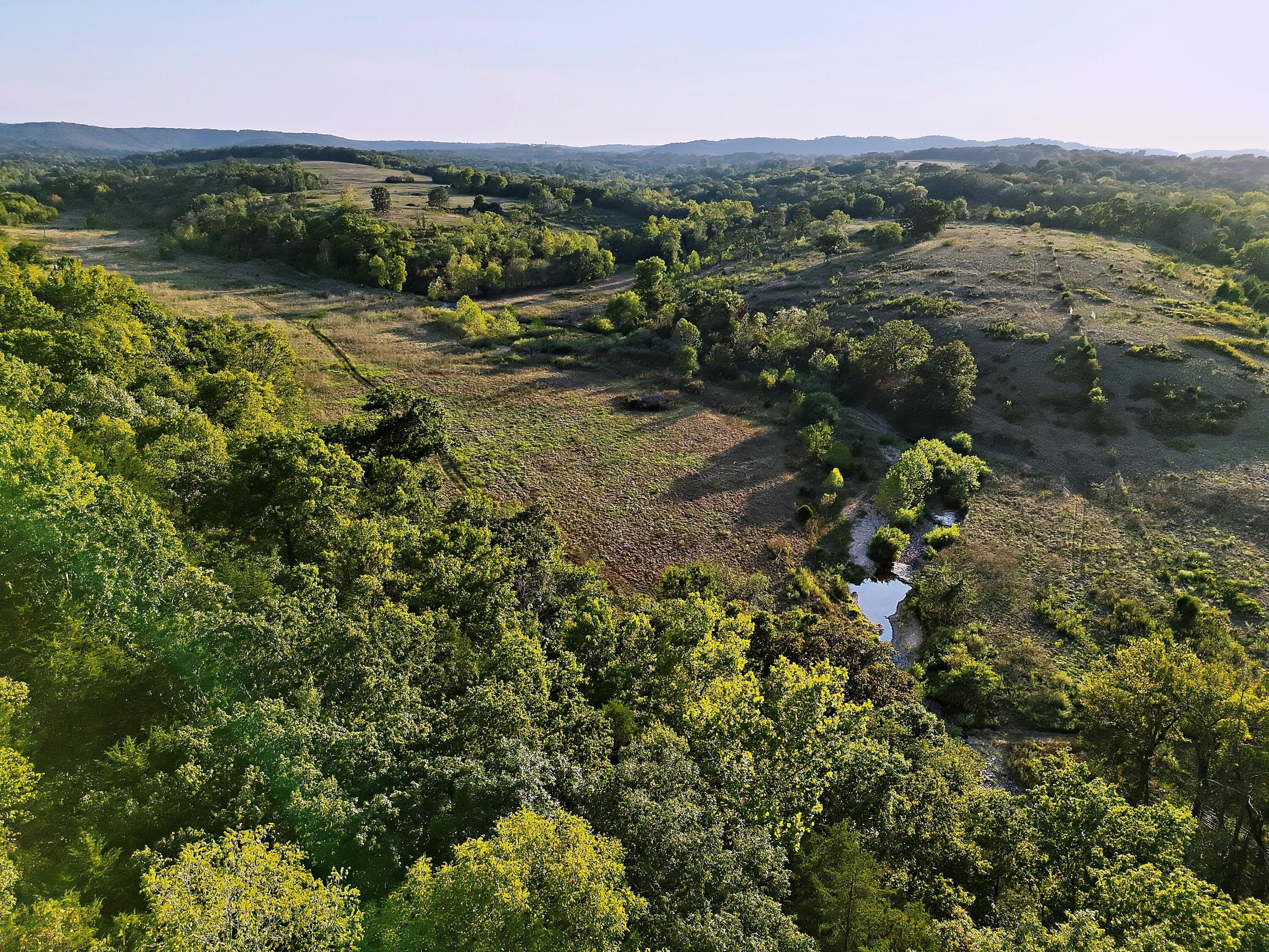 Photo 14 - Land for sale – 000  State Highway 86   Golden, MO