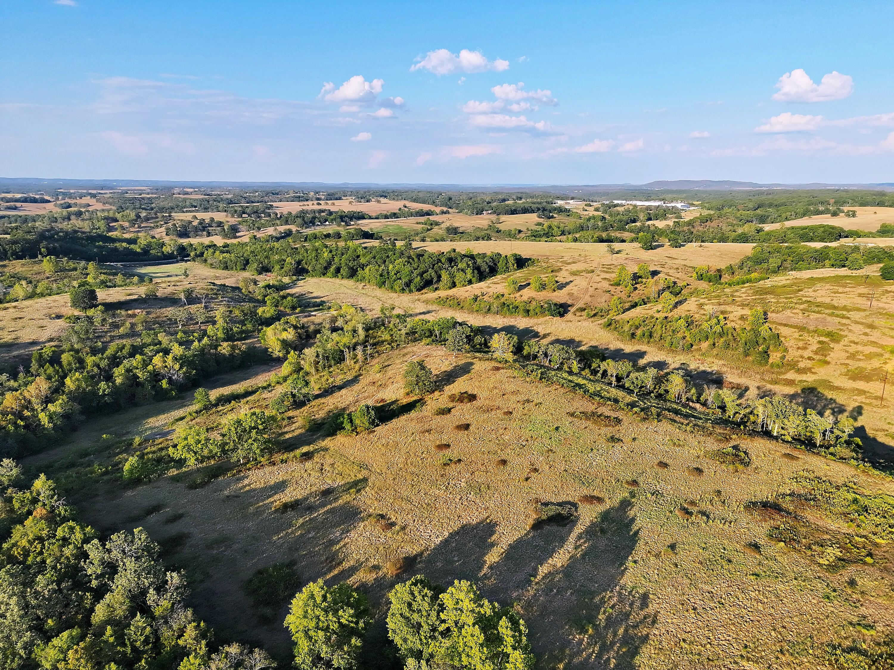 Photo 9 - Land for sale – 000  State Highway 86   Golden, MO