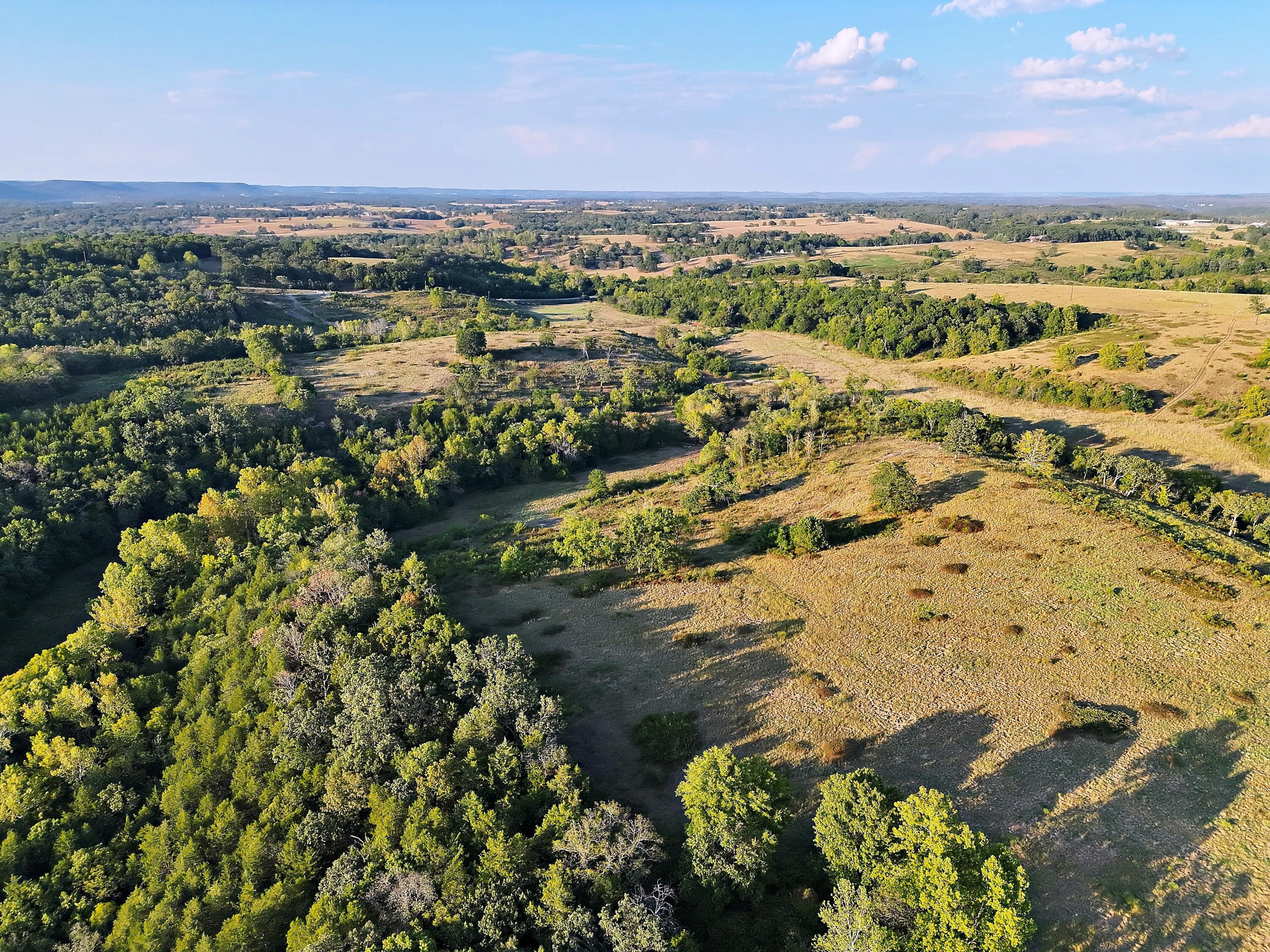 Photo 11 - Land for sale – 000  State Highway 86   Golden, MO