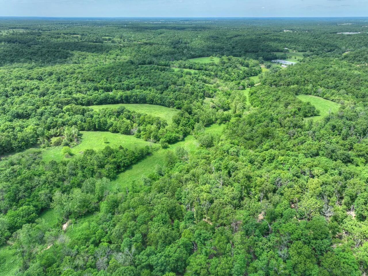 Photo 3 - Land for sale – 000  Pack   Noel, MO