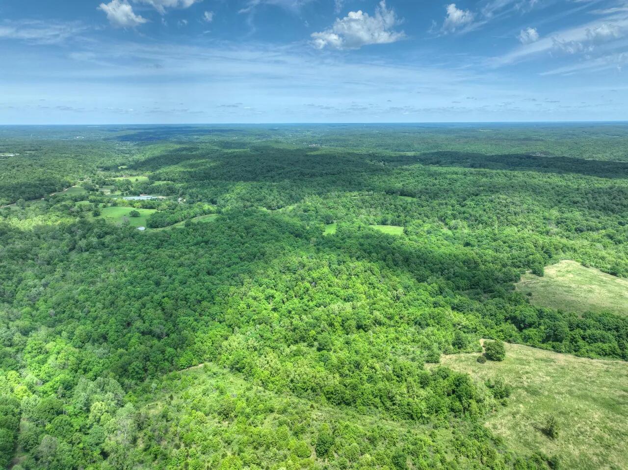 Photo 2 - Land for sale – 000  Pack   Noel, MO