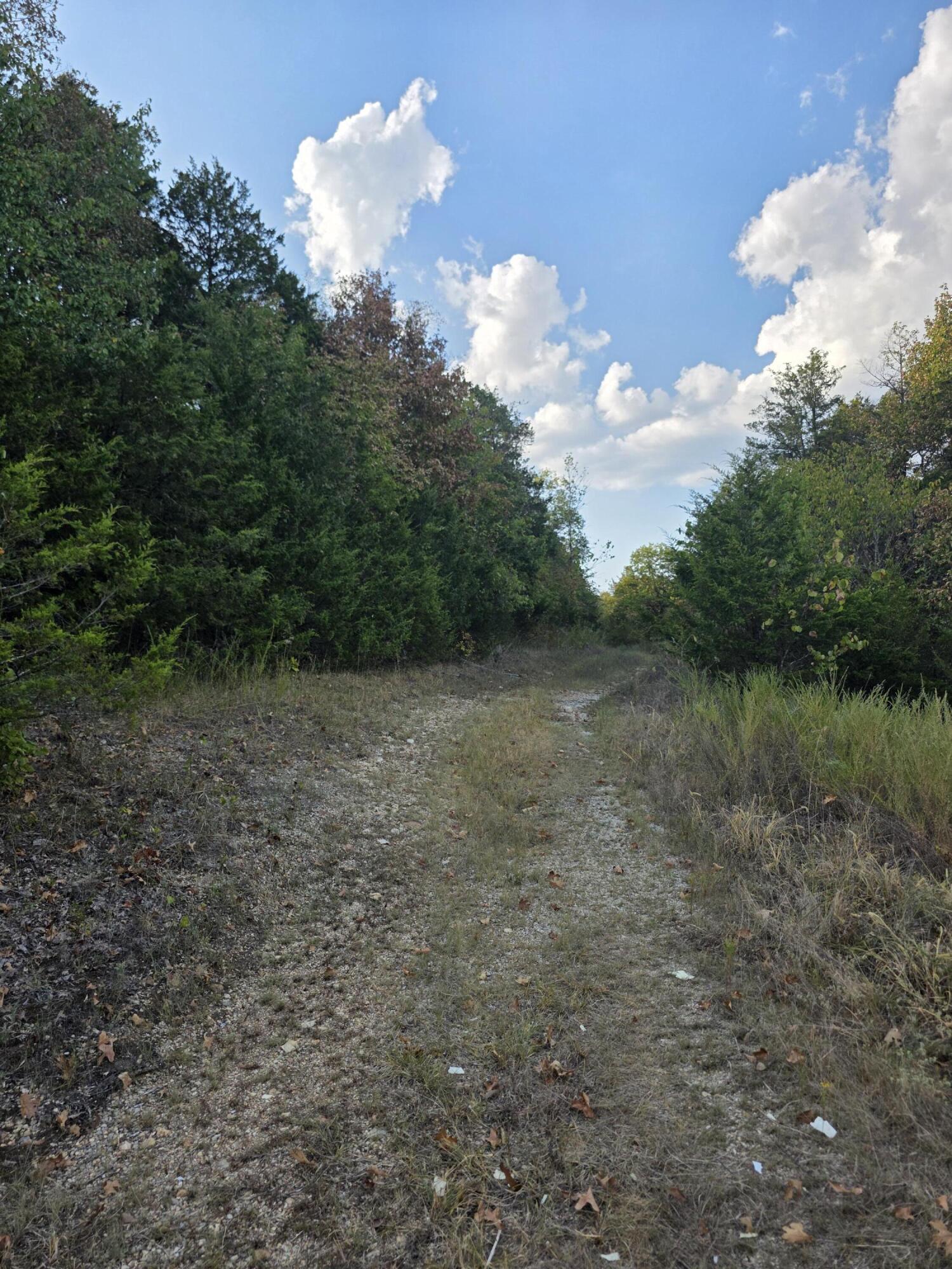 Photo 7 - Land for sale – Tbd  Deer Valley   Branson, MO