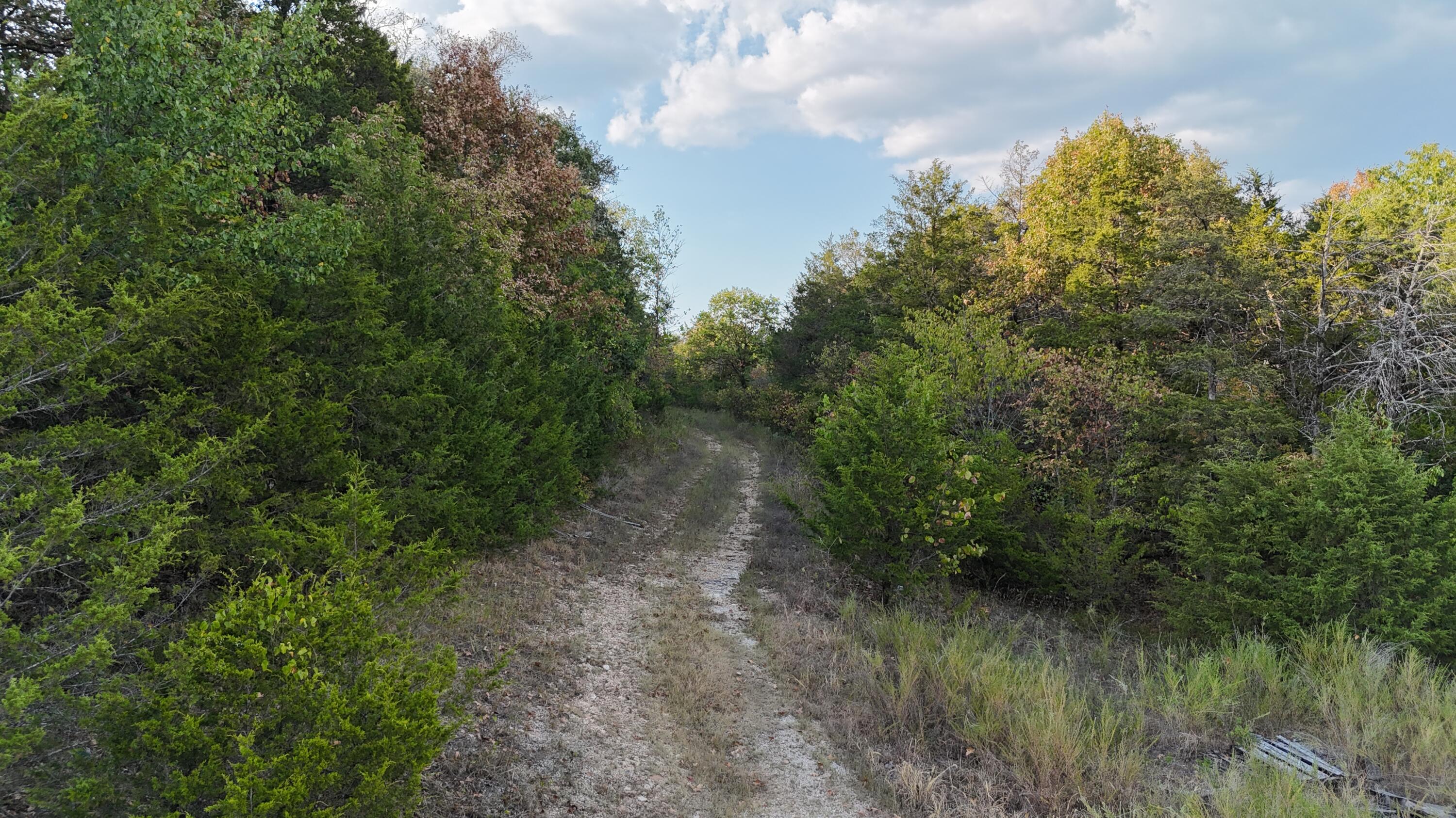 Photo 3 - Land for sale – Tbd  Deer Valley   Branson, MO