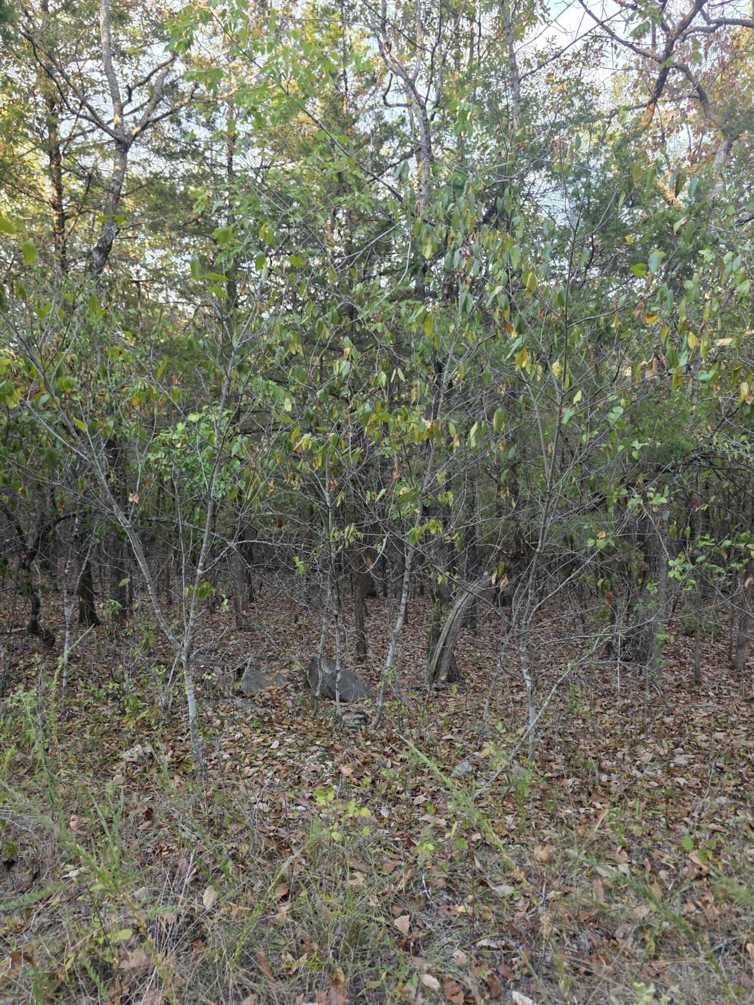Photo 21 - Land for sale – Tbd  Deer Valley   Branson, MO