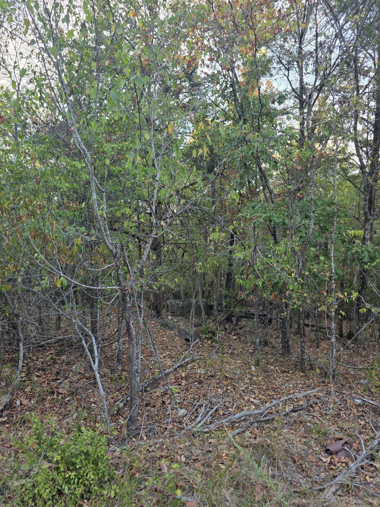 Photo 8 - Land for sale – Tbd  Deer Valley   Branson, MO
