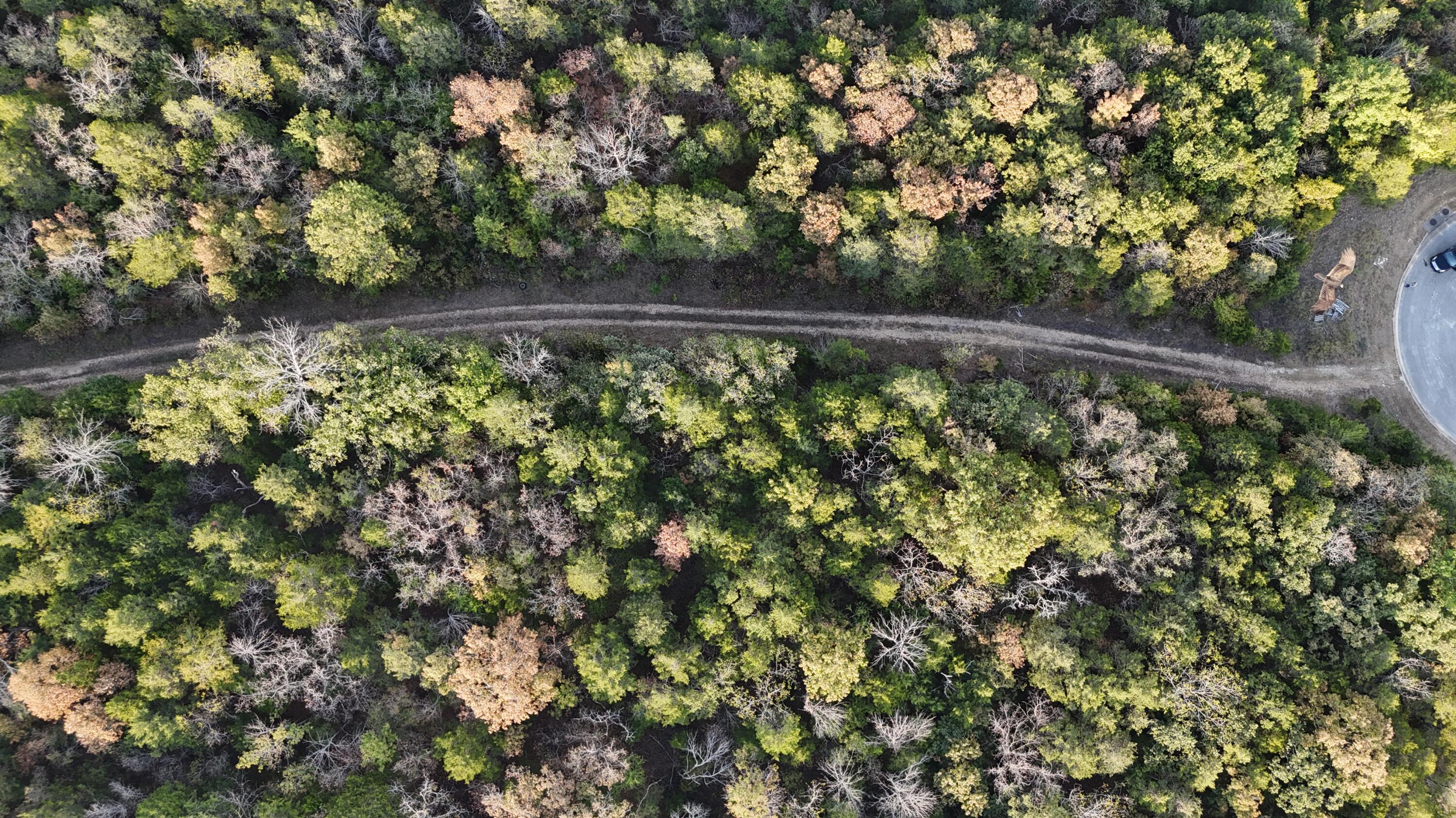 Photo 28 - Land for sale – Tbd  Deer Valley   Branson, MO