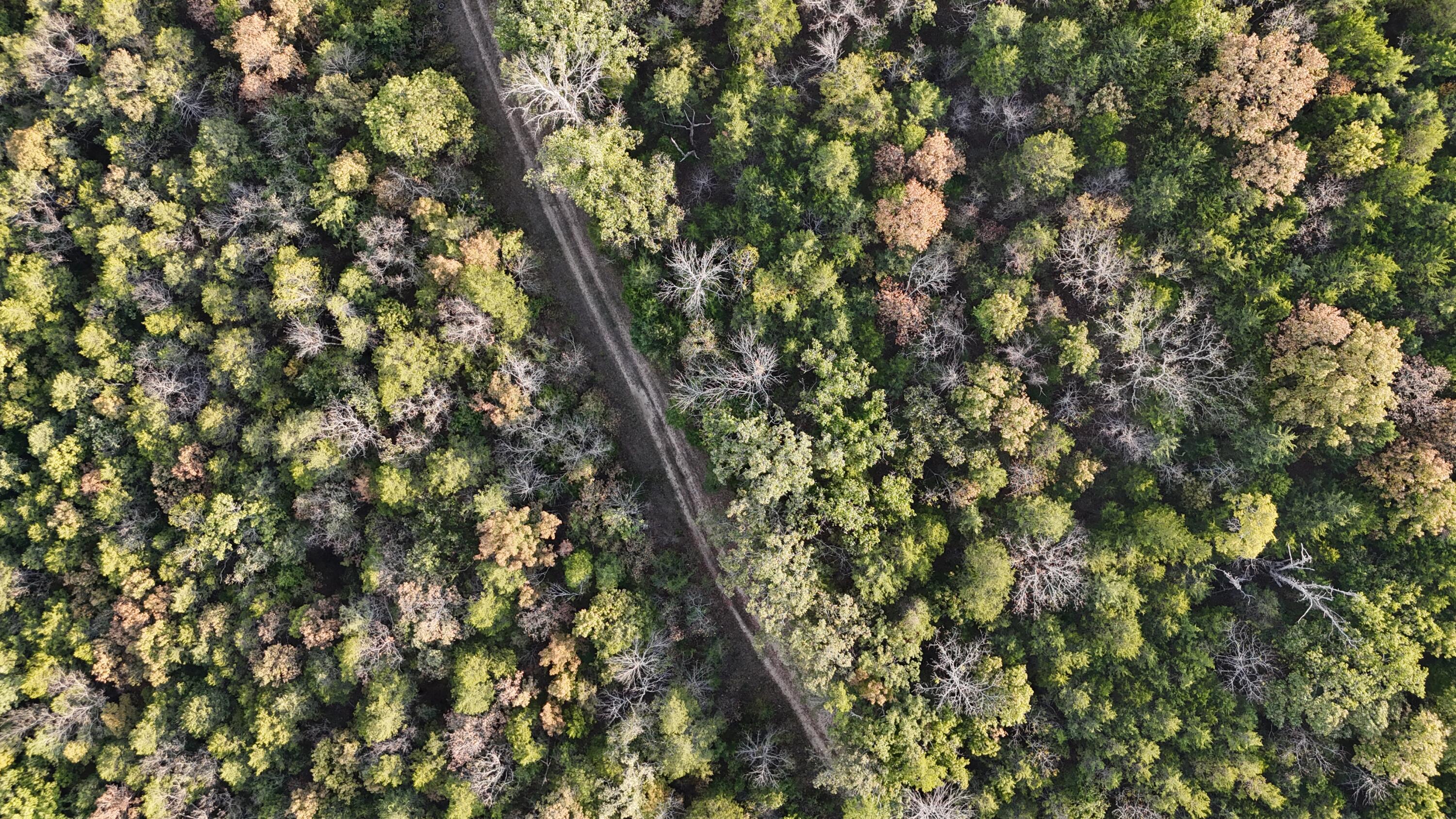 Photo 17 - Land for sale – Tbd  Deer Valley   Branson, MO