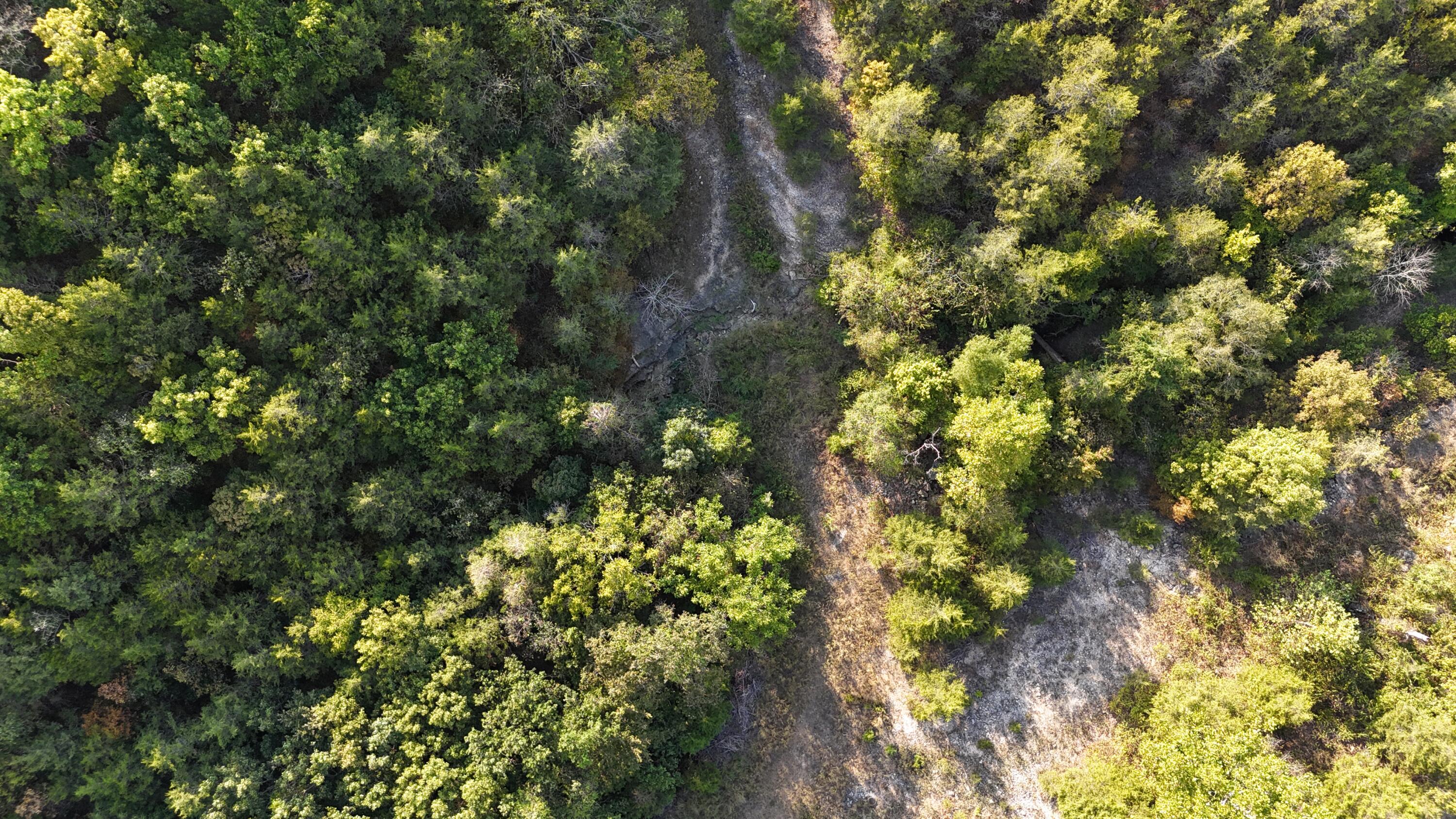 Photo 27 - Land for sale – Tbd  Deer Valley   Branson, MO