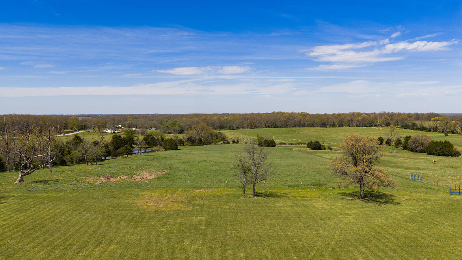 Photo 2 - Residential for sale – 13421 W Farm Road 194   Billings, MO